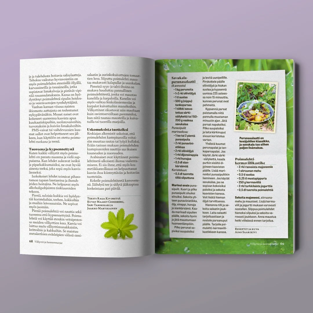 VL-open-book-mockup-7.jpg