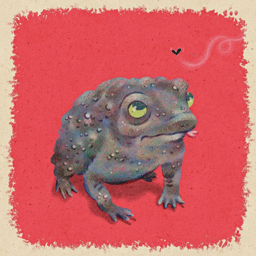 FF-27-Toad-ig.jpg