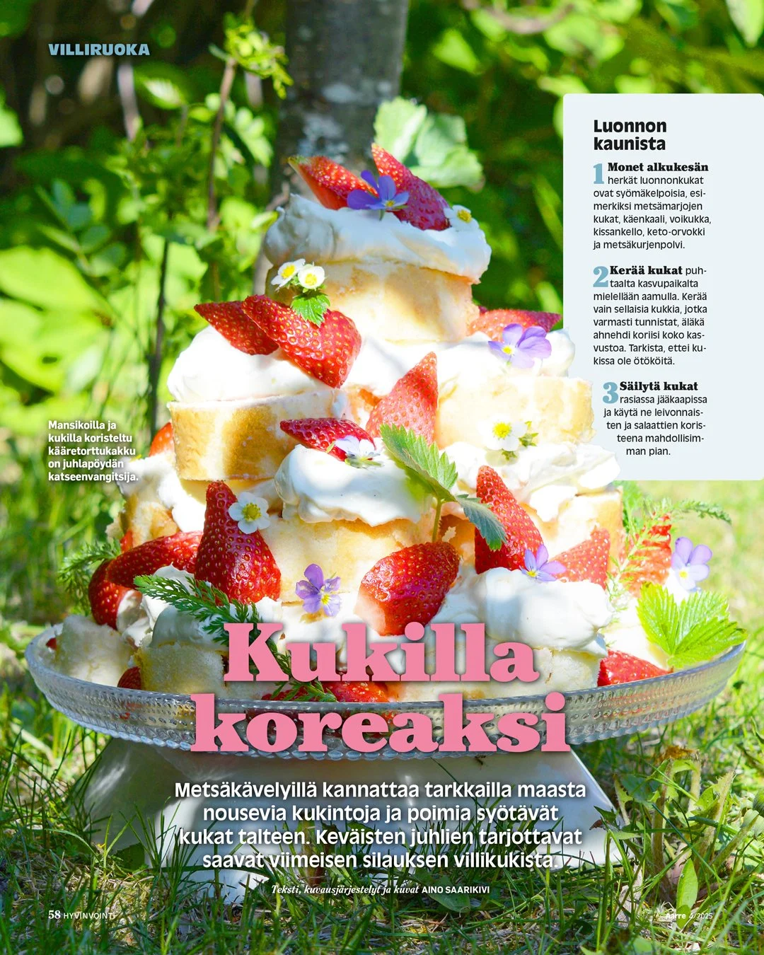 AR-2025-04_Villiruoka_IG-2.jpg