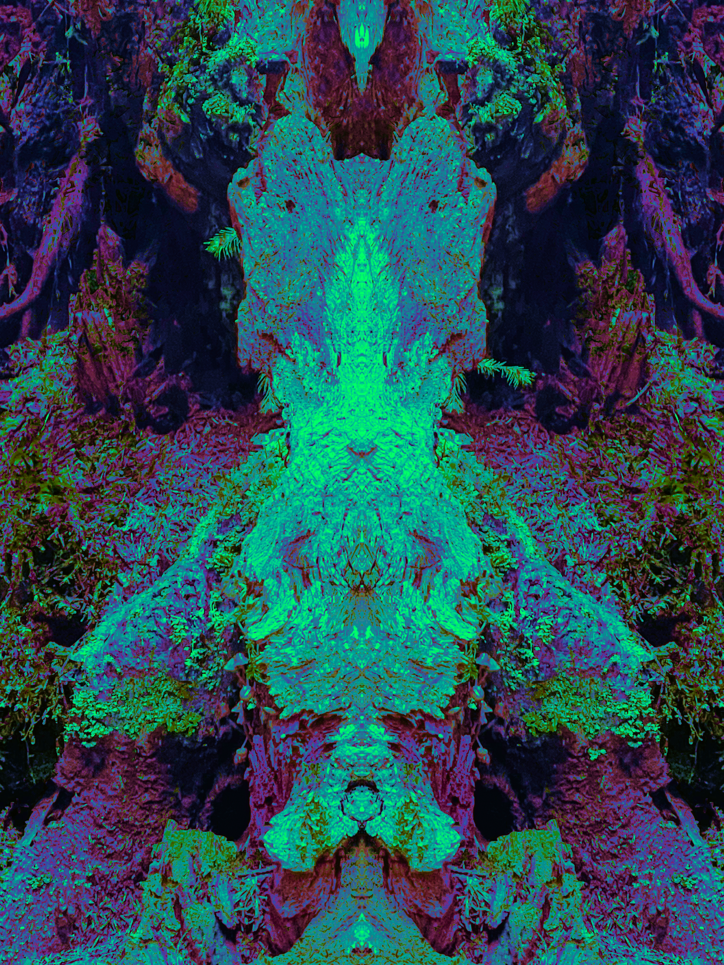 Spirit - 89.png