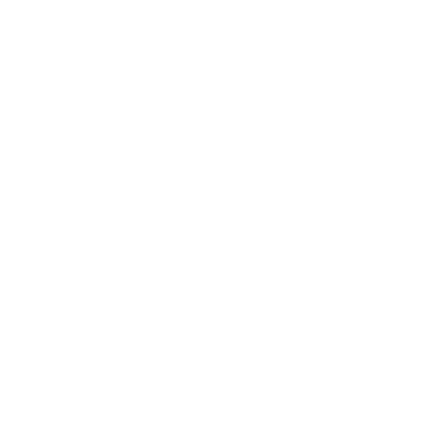 Caleb Salstrom | Visual Artist