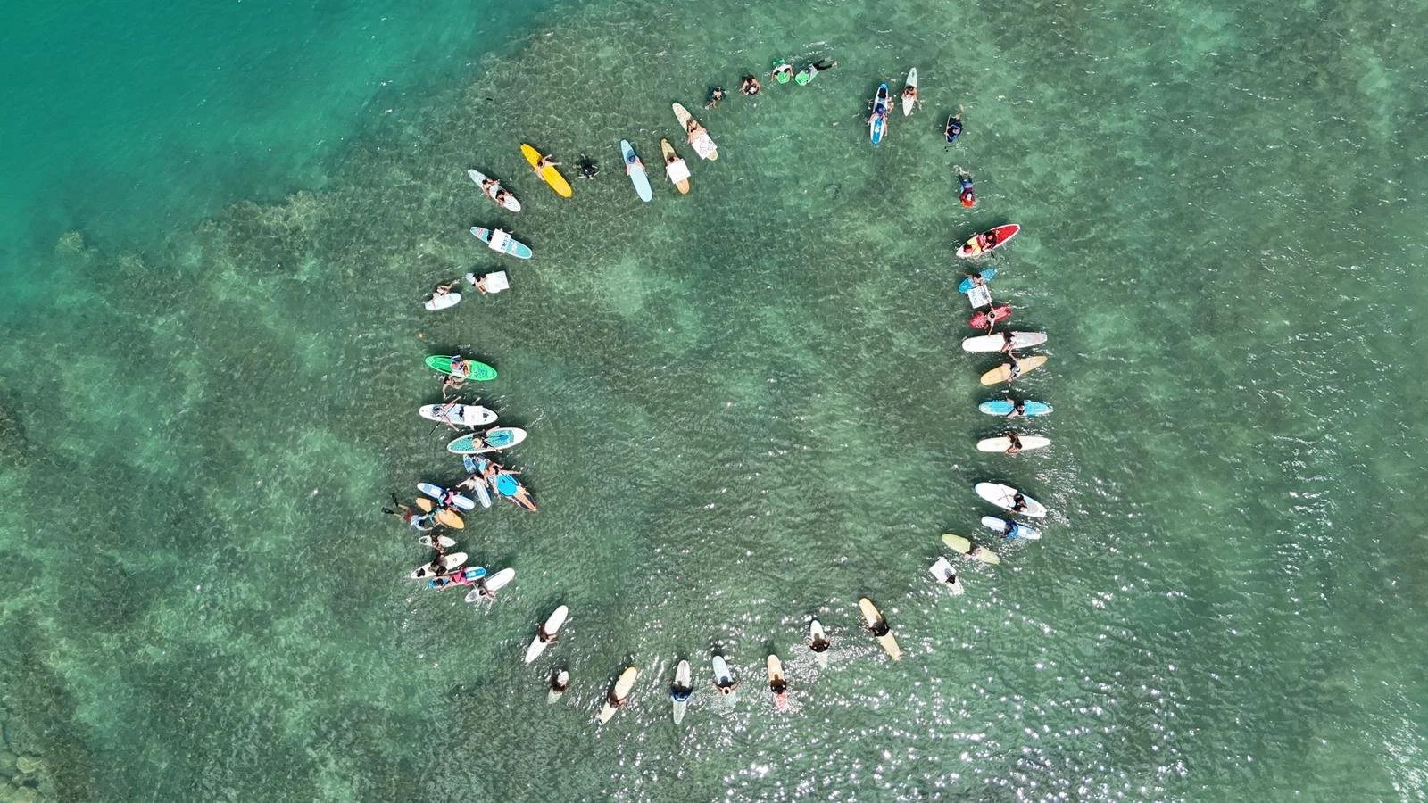 PaddleOut1.jpeg