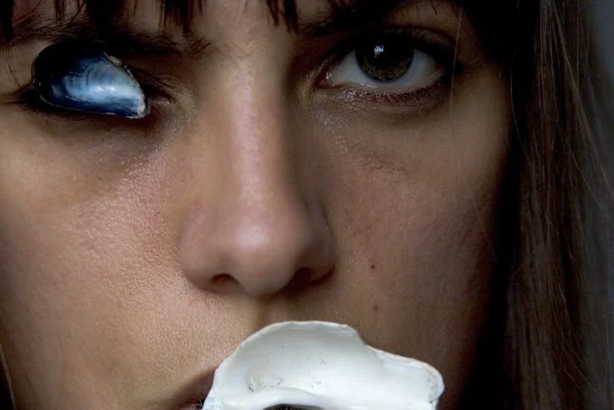 Shell Face2 72.jpg