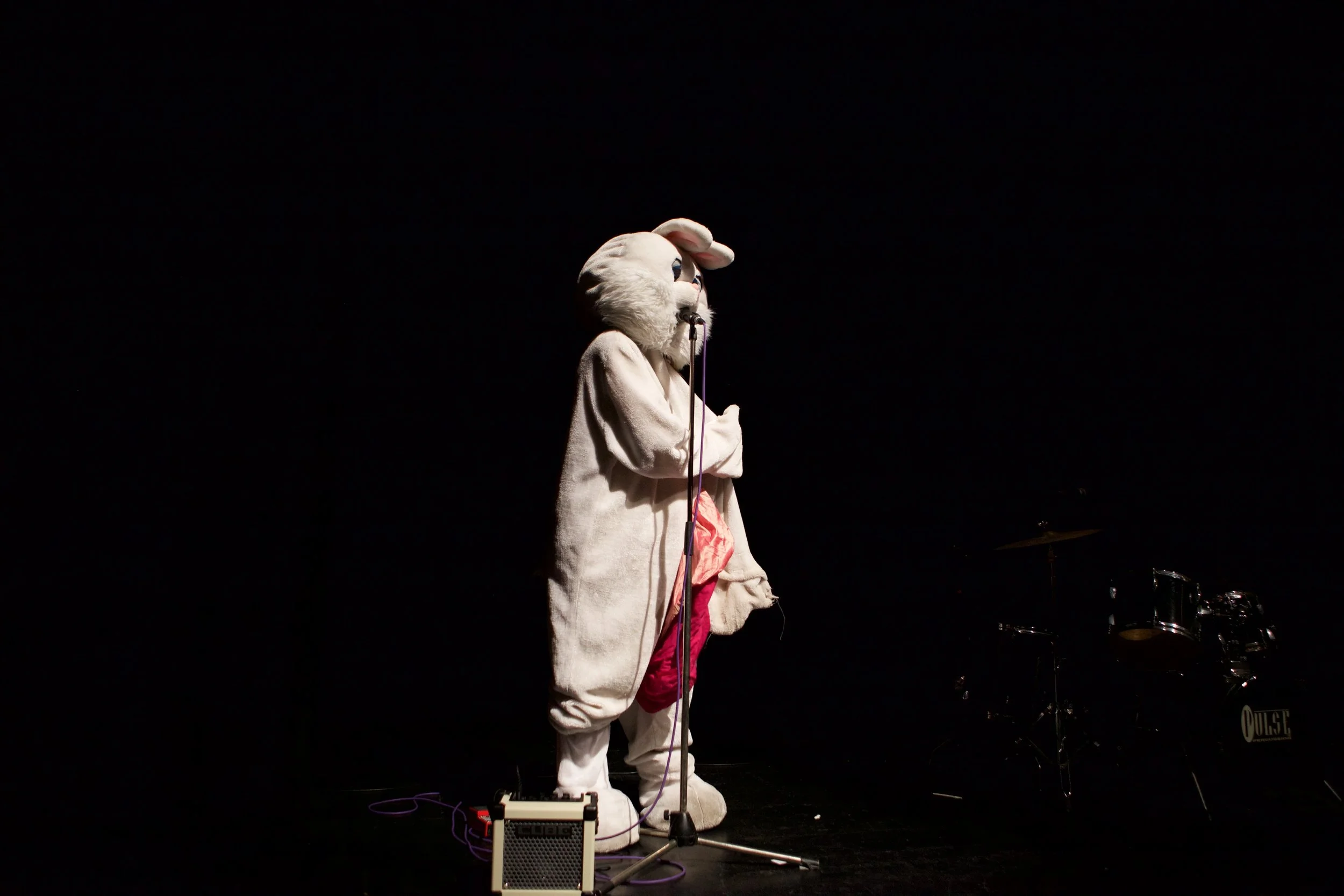 IMG_8493.jpg