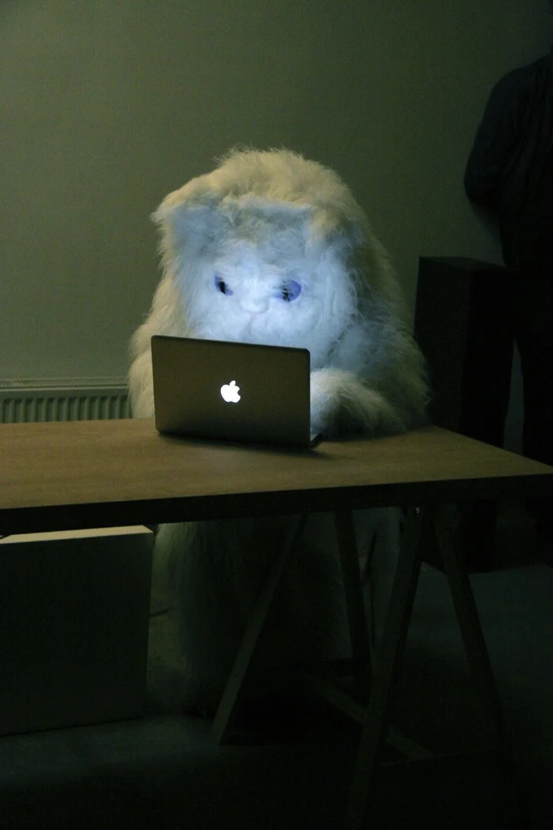 catanddoglg4.jpg