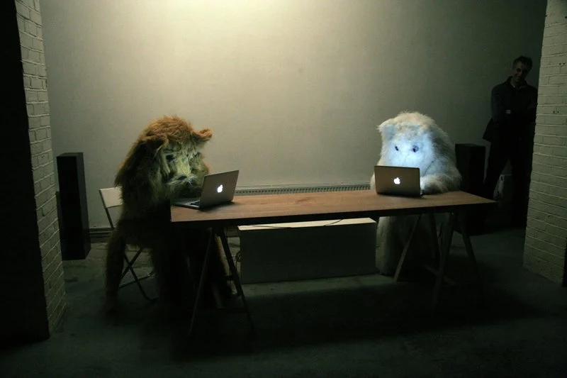 catanddoglg5.jpg
