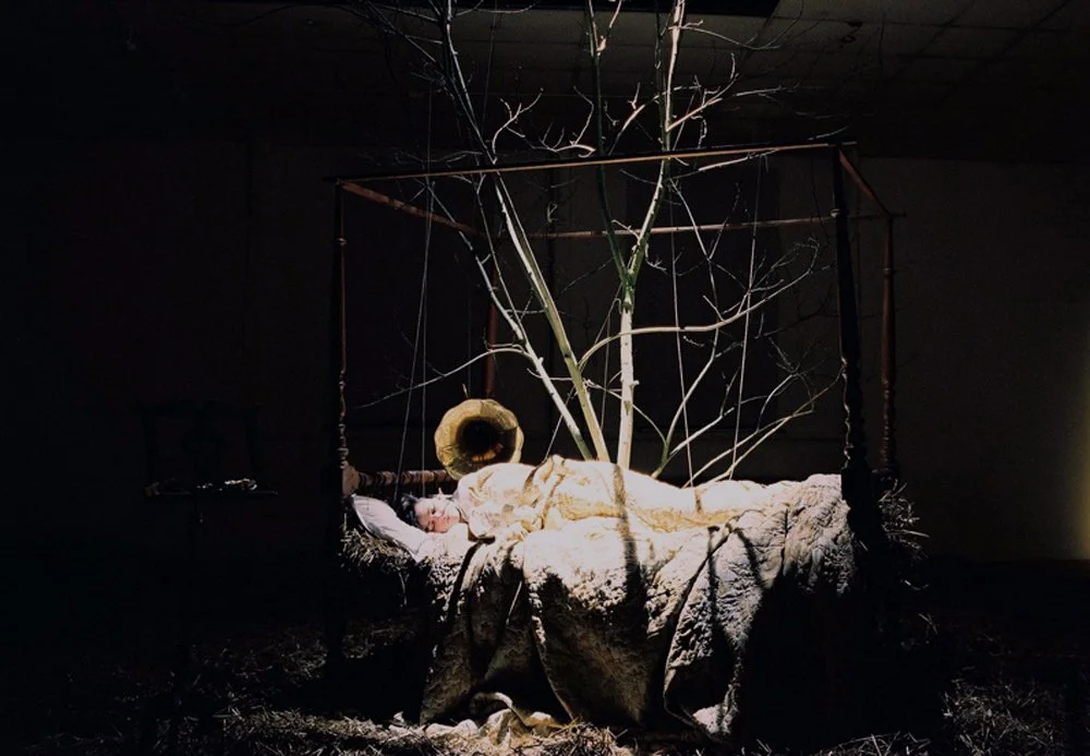 1.Senescence1.jpg