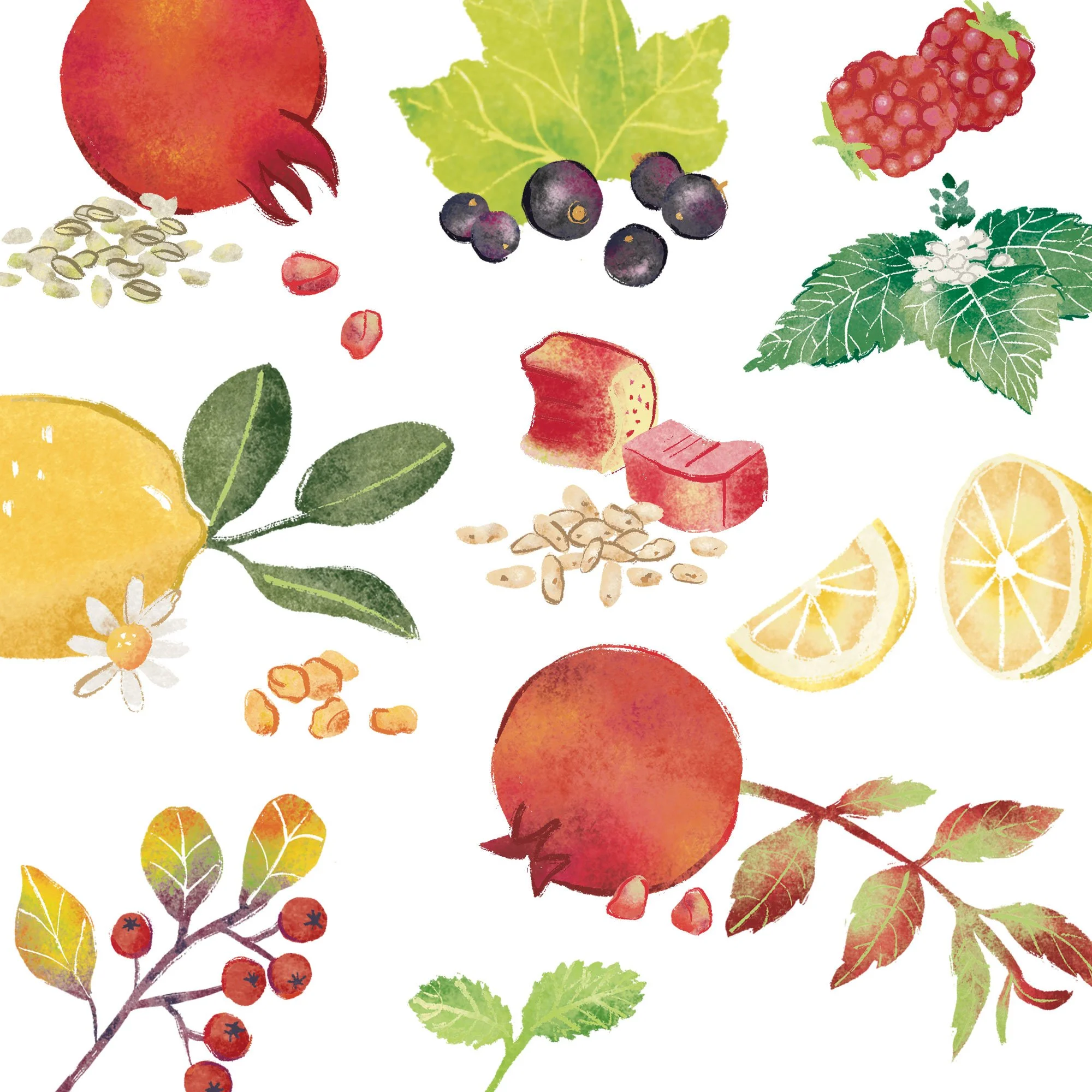 Lizzi Vegan Brioches