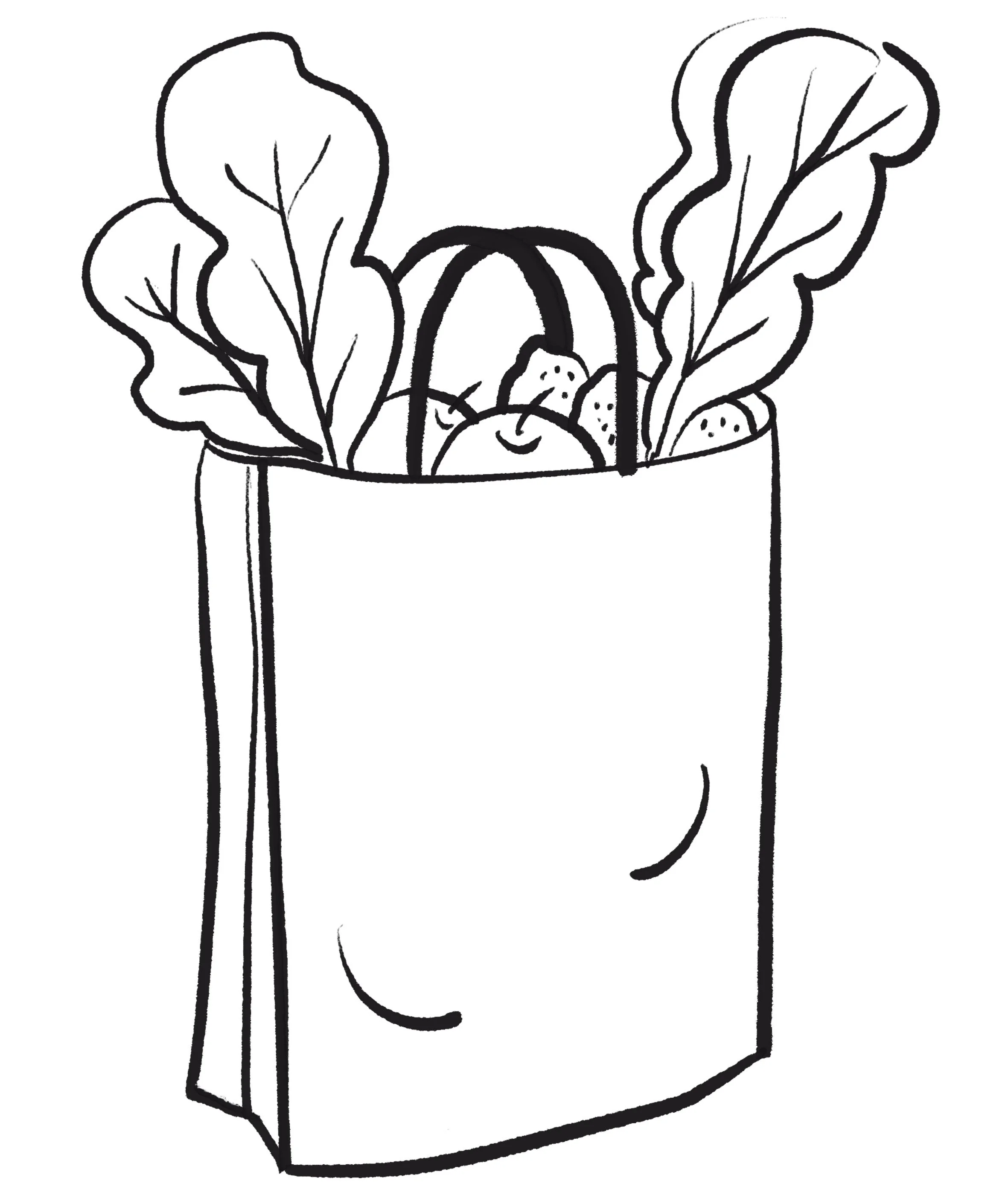 Illustrazione_Borsa_Verdura.jpg
