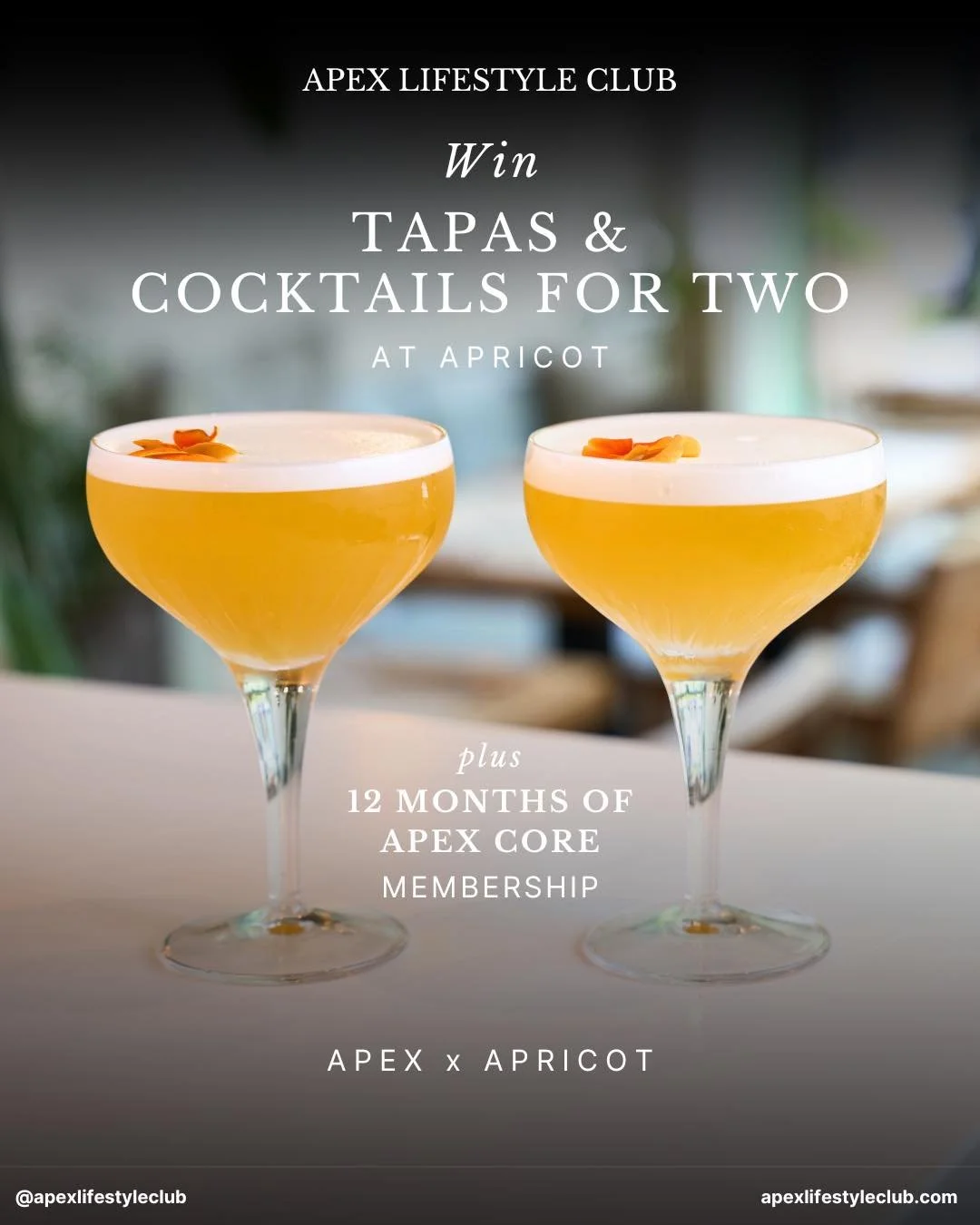An exclusive giveaway for our community! 🎉

We&rsquo;ve teamed up with Apricot Brunch Bar to give one lucky winner:

🍽️ Tapas &amp; Cocktails for Two at Apricot Brunch Bar
🏔️ 12 months of Apex Core Membership

The Apricot prize includes:
3 tapas d