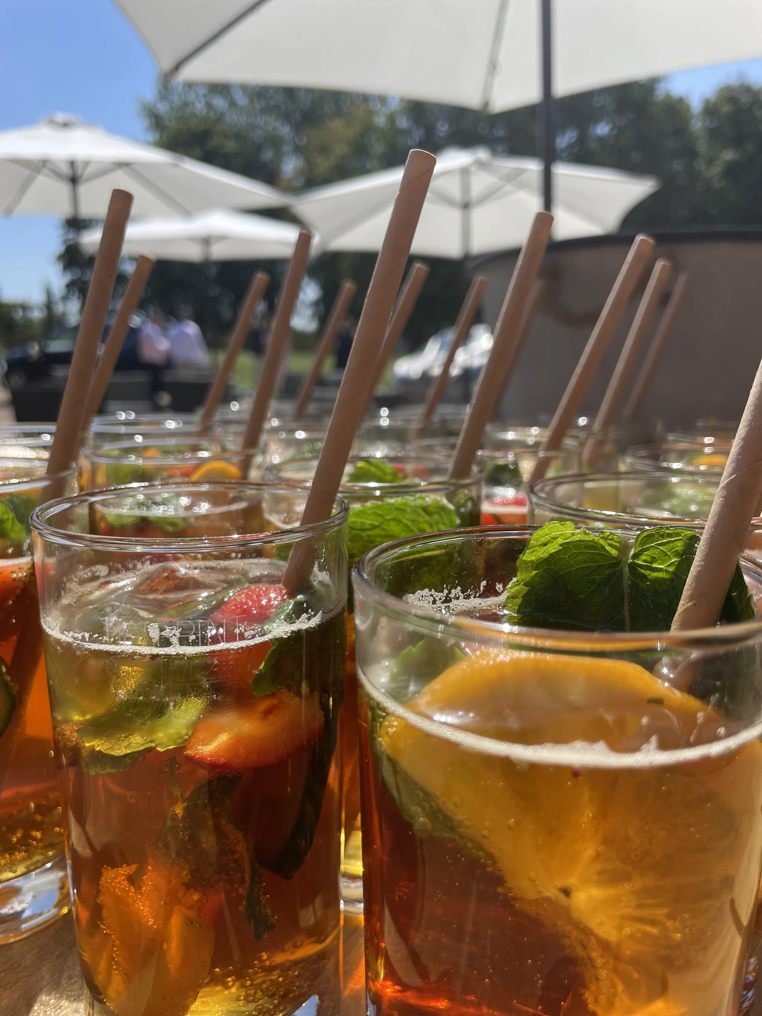 Pimms arrival drinks with fresh fruit 