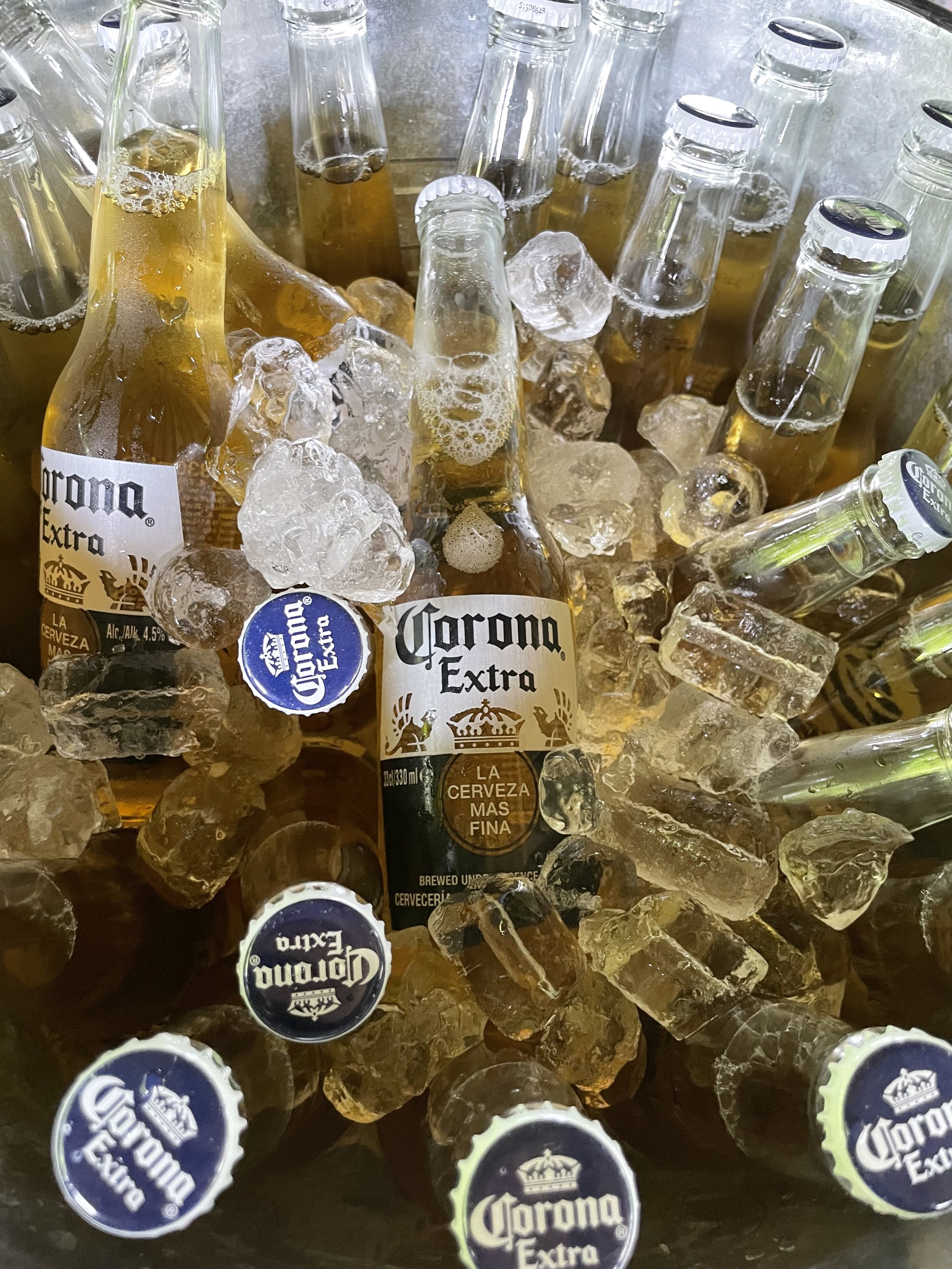 BOTTLES OF CORONA IN ICE