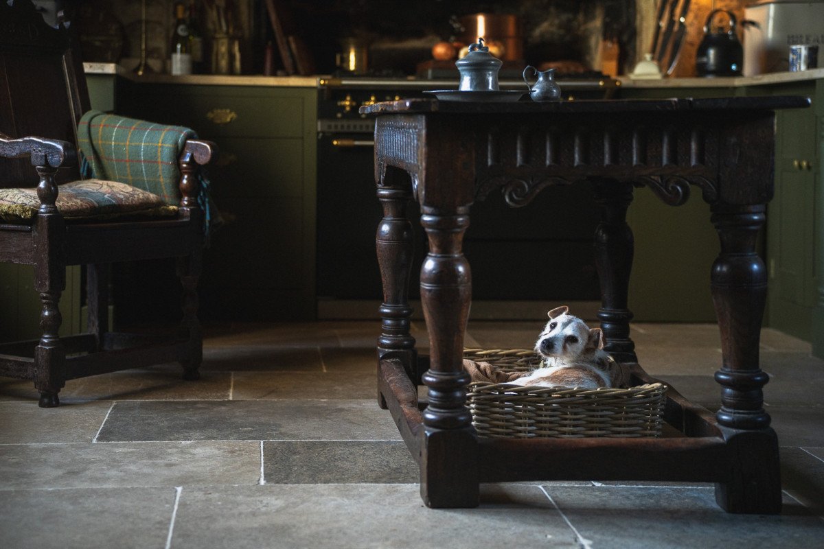 Antique dog.