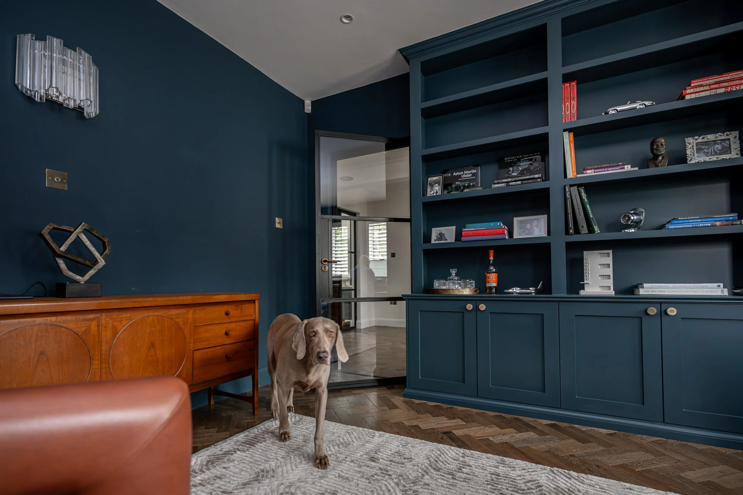 A living room featuring a blue wall, a large blue bookshelf filled with books and decorative items, a wooden sideboard, and a dog standing on a light-colored rug with Crittall door.