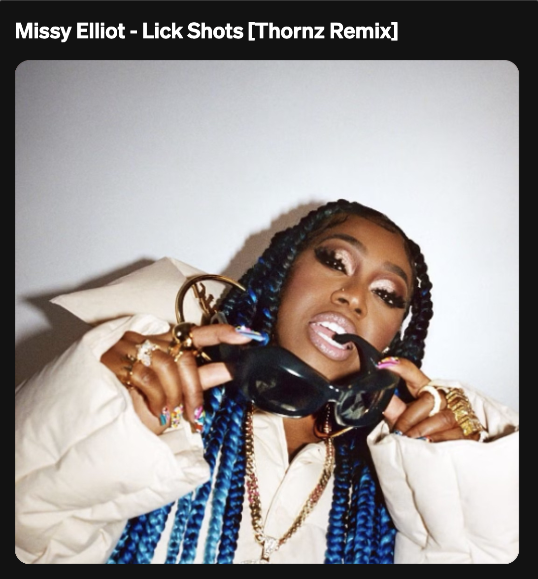 Missy Elliot - Lick Shots (Thornz Remix)