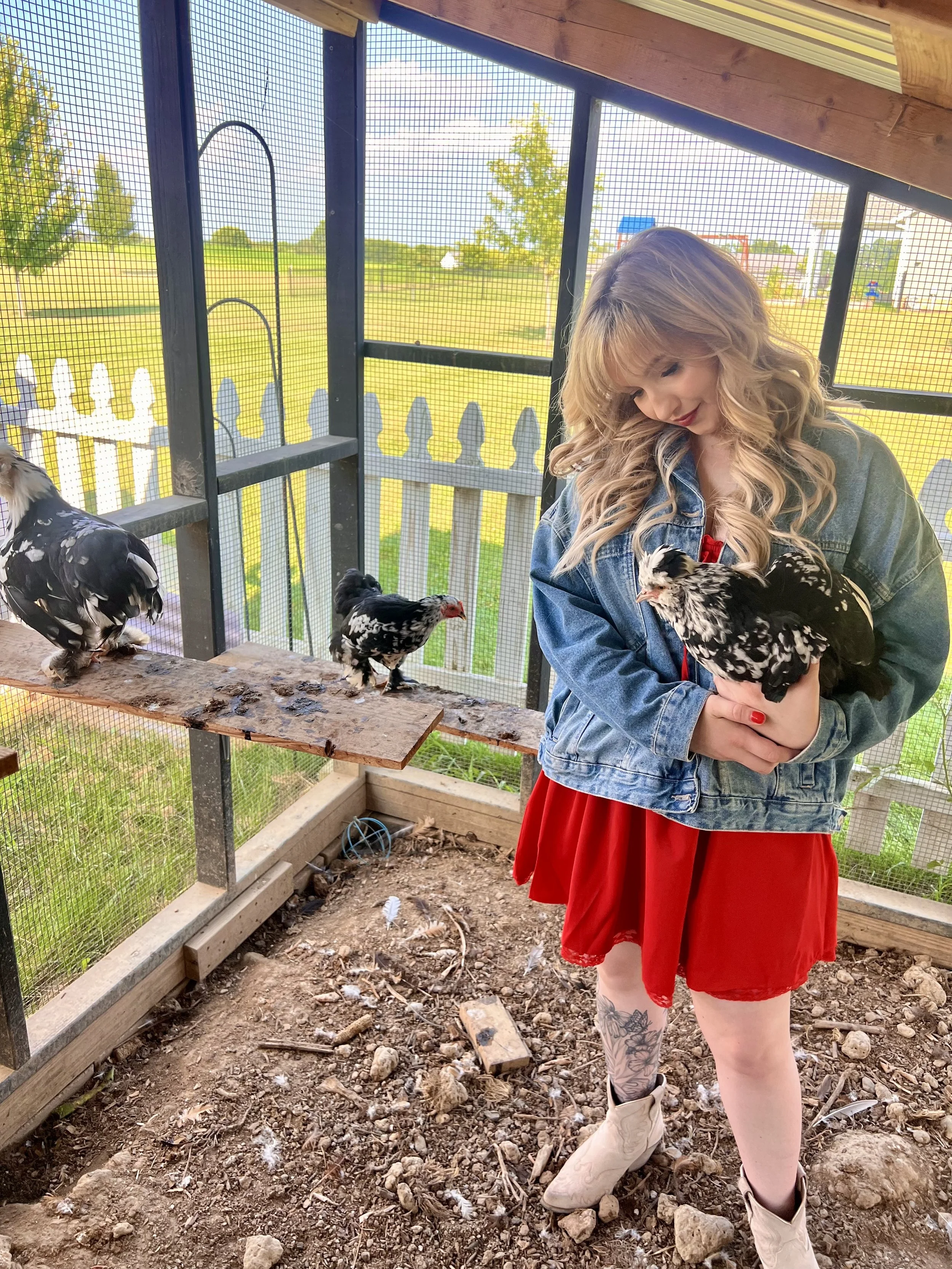 A blonde woman with wavy hair wearing a denim jacket and red dress holding a black and white chicken in a chicken coop.