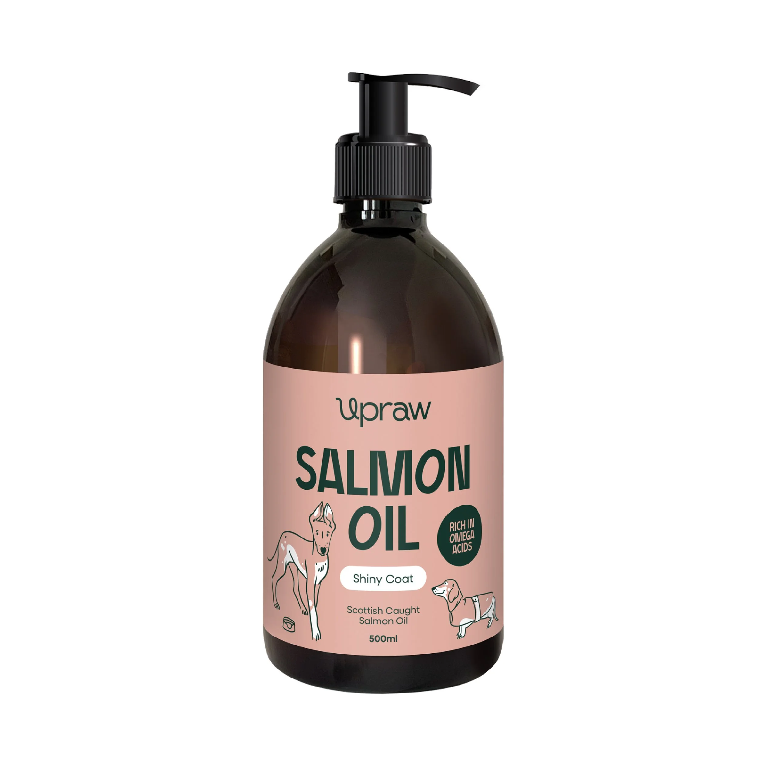 Salmon Oil