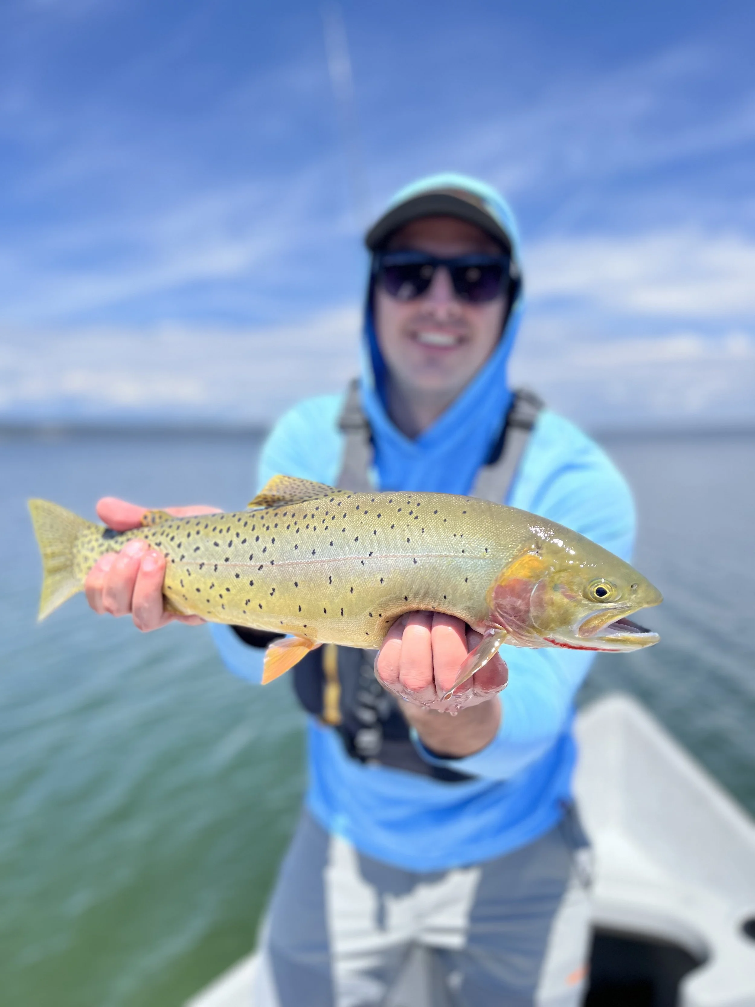 Yellowstone cutthroat trout