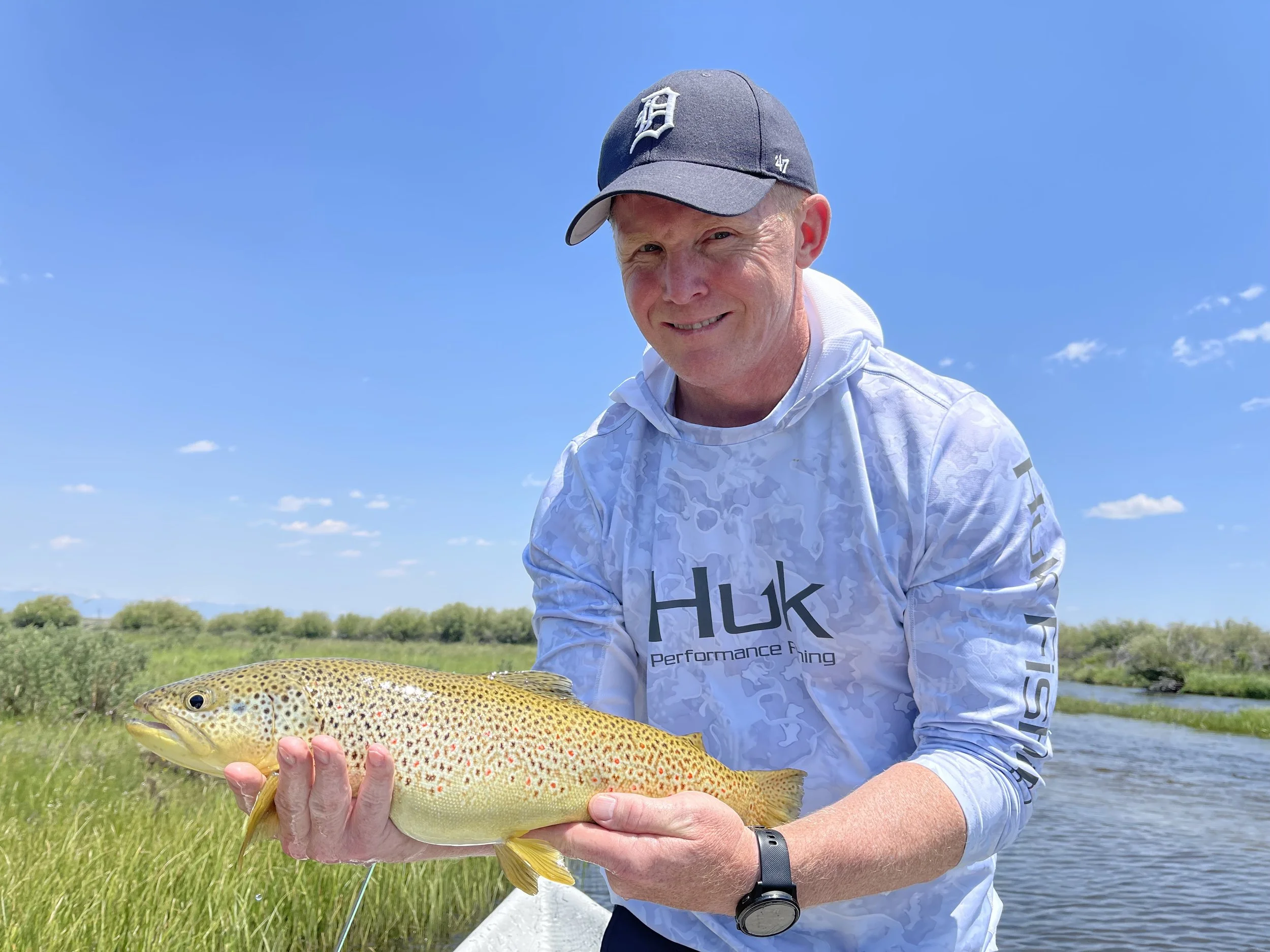 New Fork River brown trout