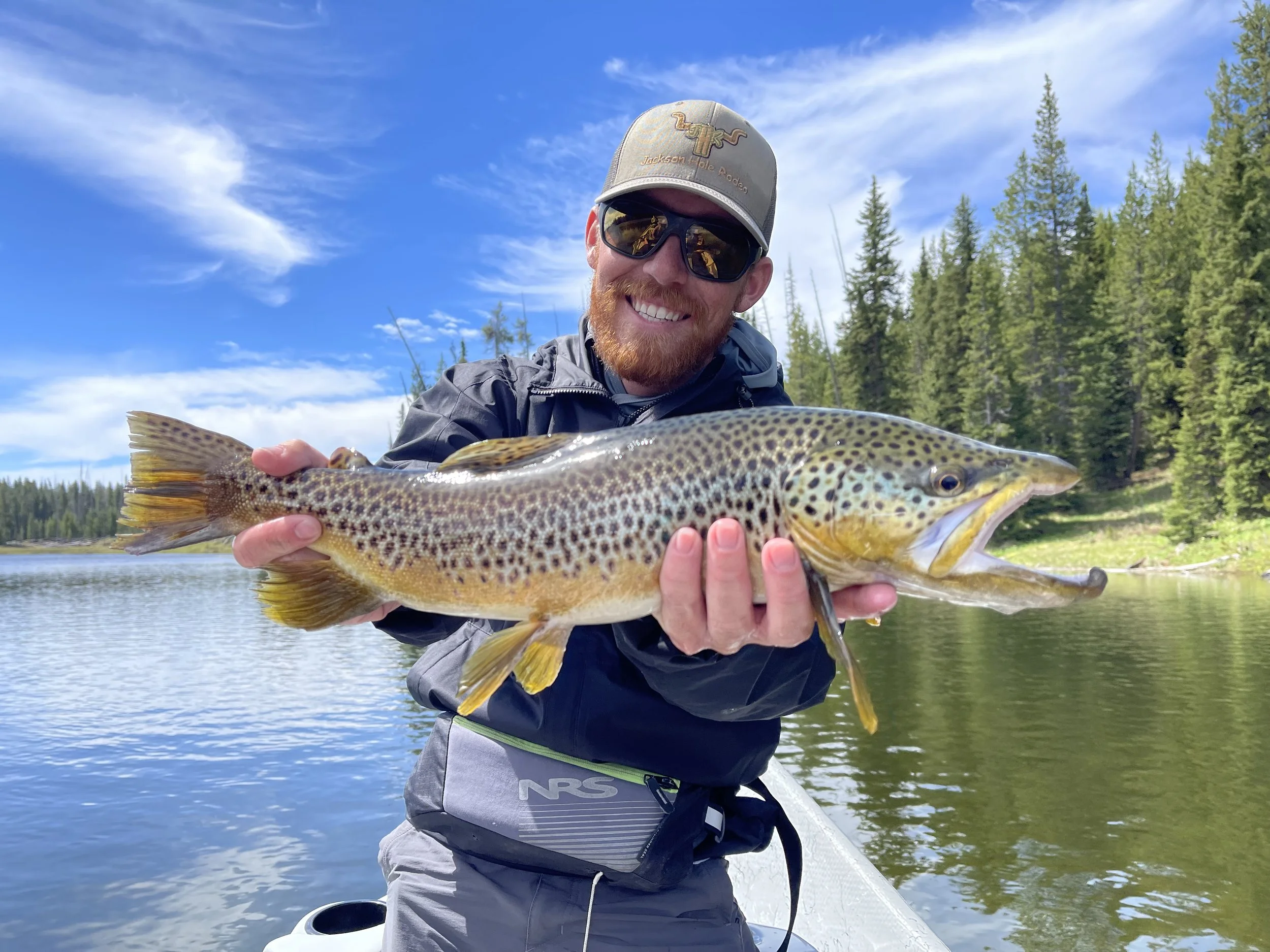 Lewis Lake, Yellowstone, big brown trout
