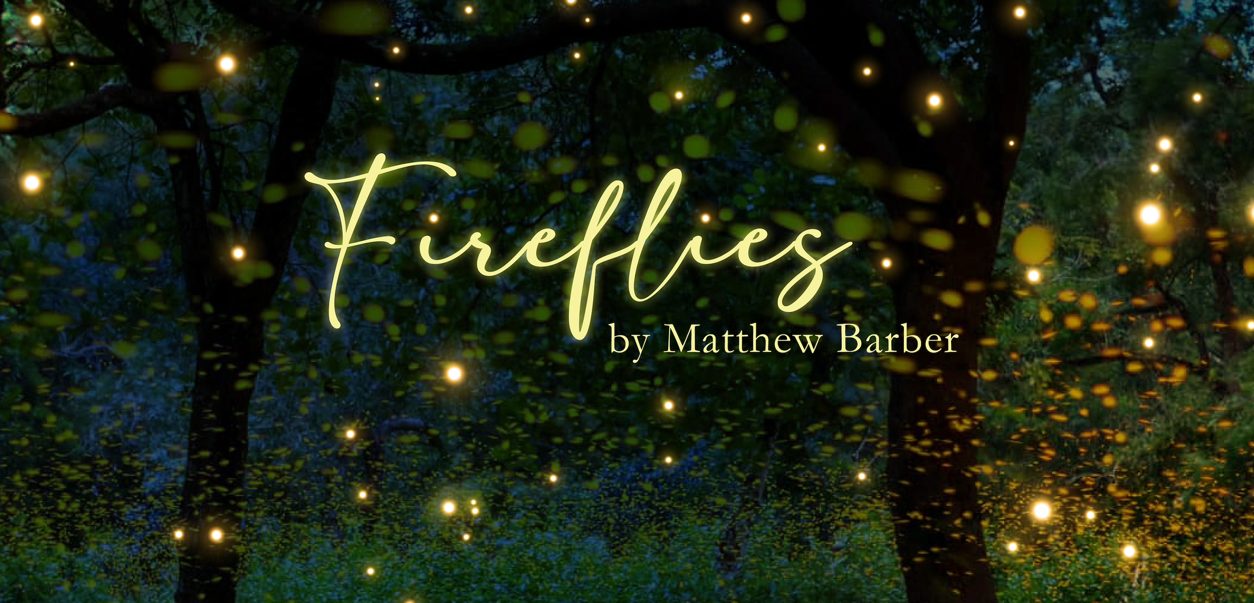 Fireflies by Matthew Barber