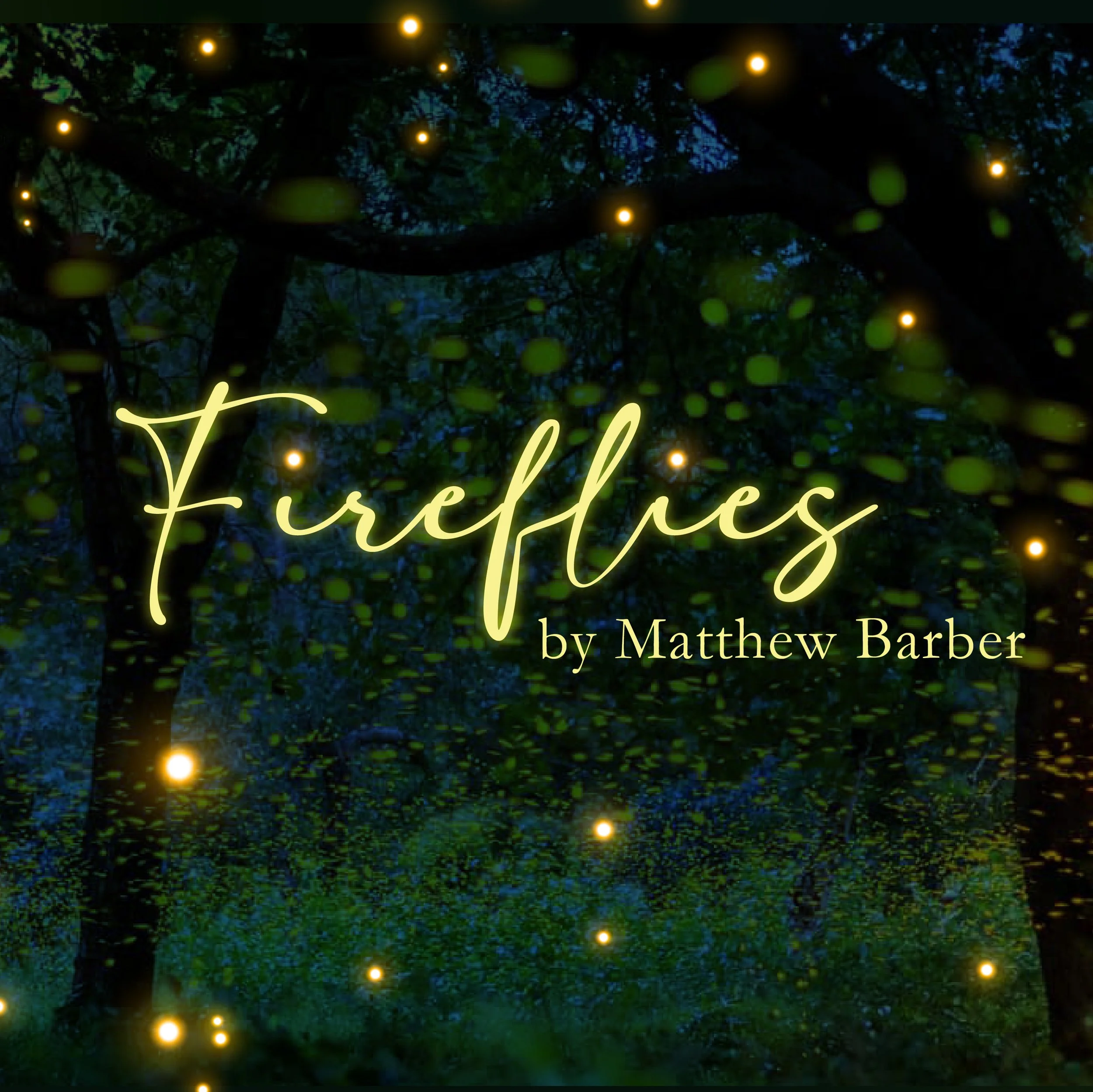 Fireflies by Matthew Barber