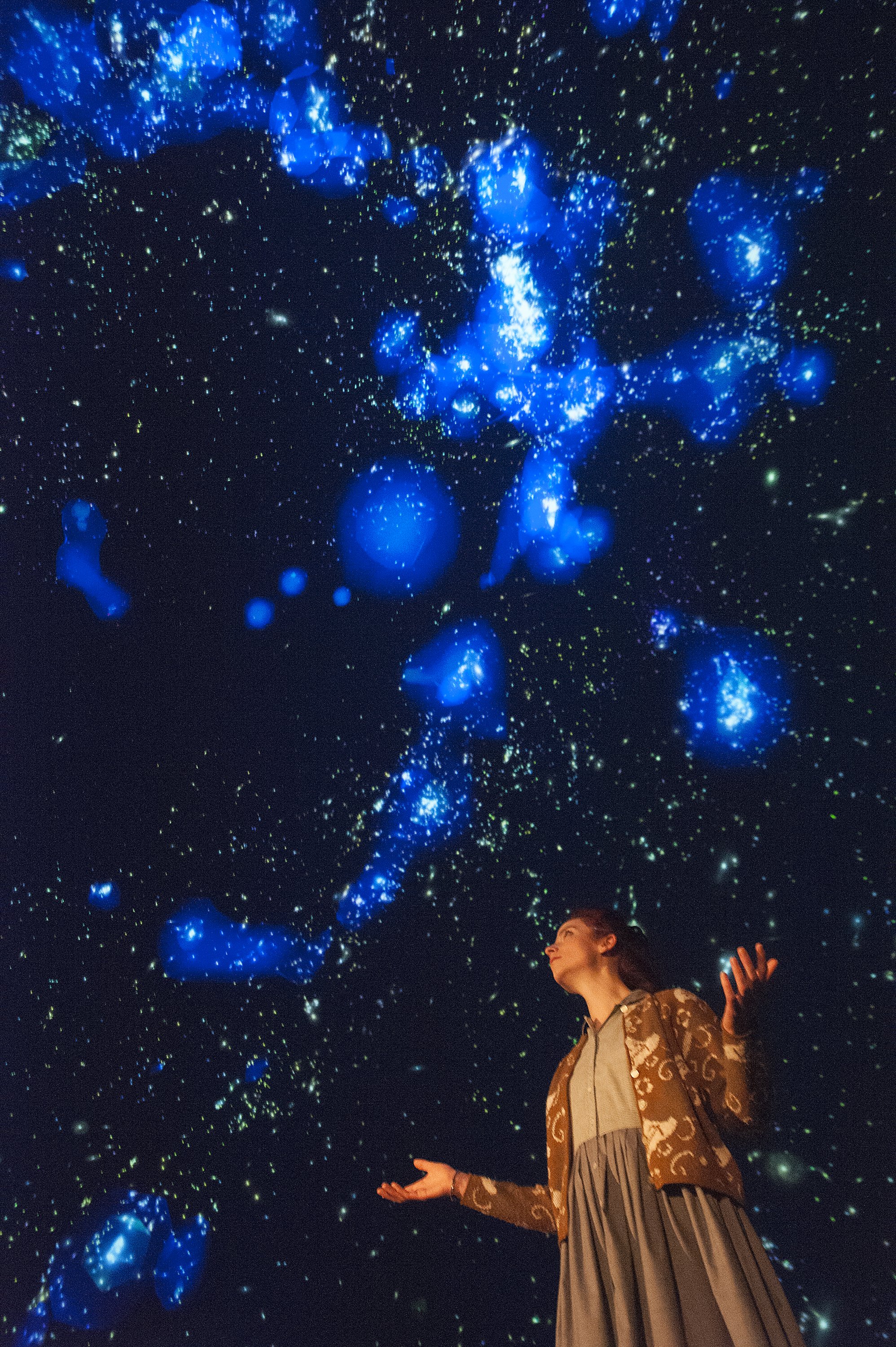 Vera Rubin: Bringing the Dark to Light by William C. Kovacsik