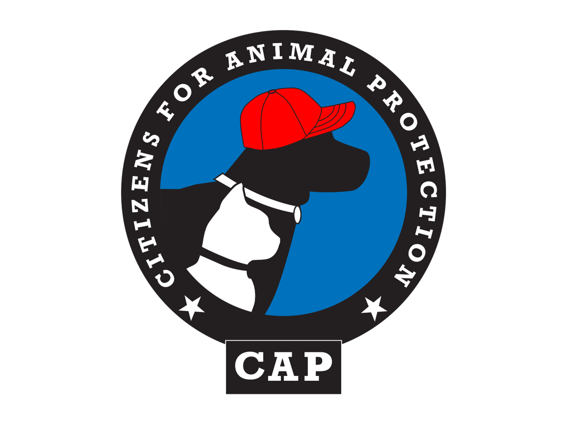 CAP+right+facing+logo-transp_bordered.png