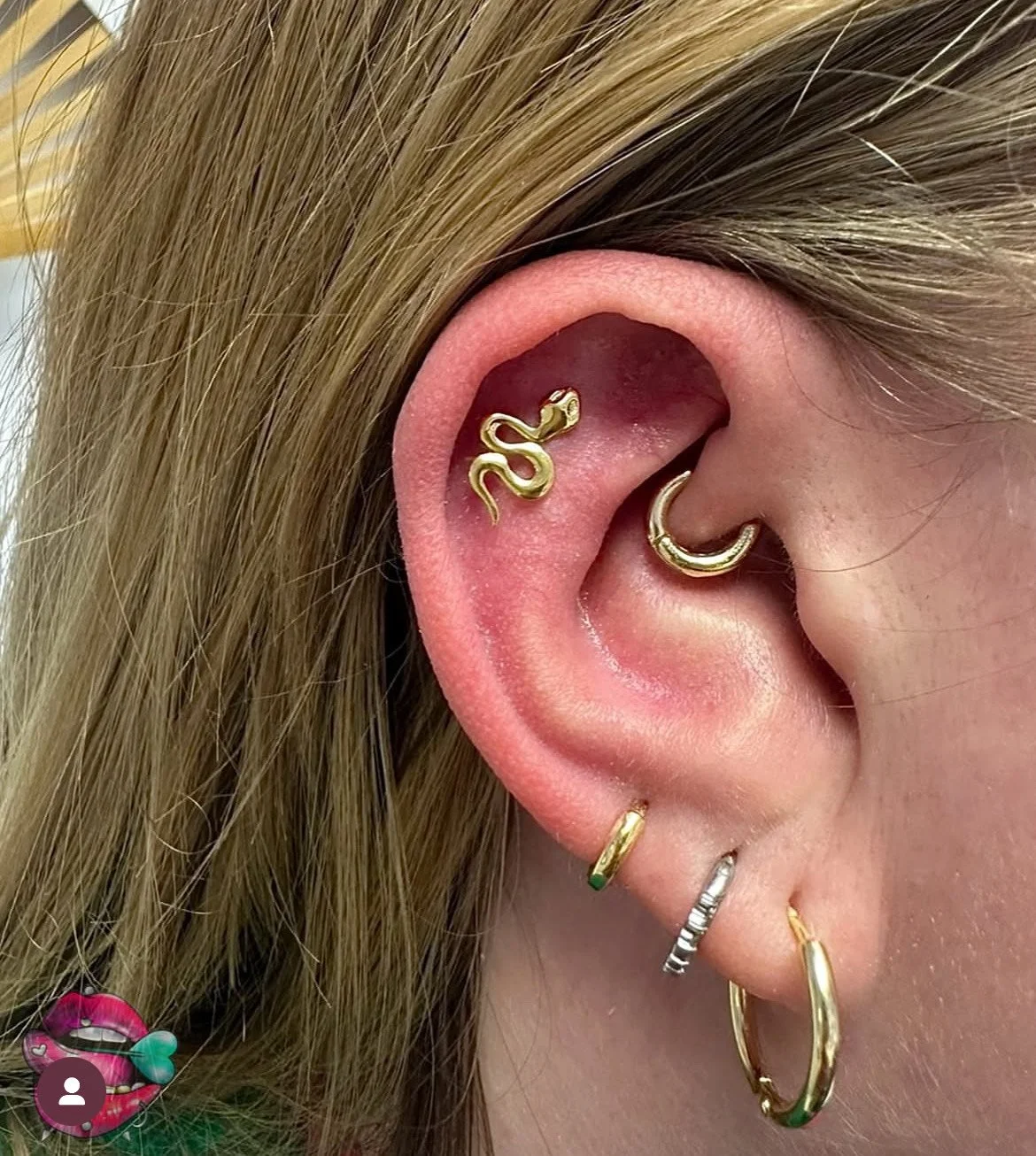 Close-up of a person's ear with multiple gold and silver earrings, including a snake-shaped earring and a curved barbell, with a person's blonde hair visible.