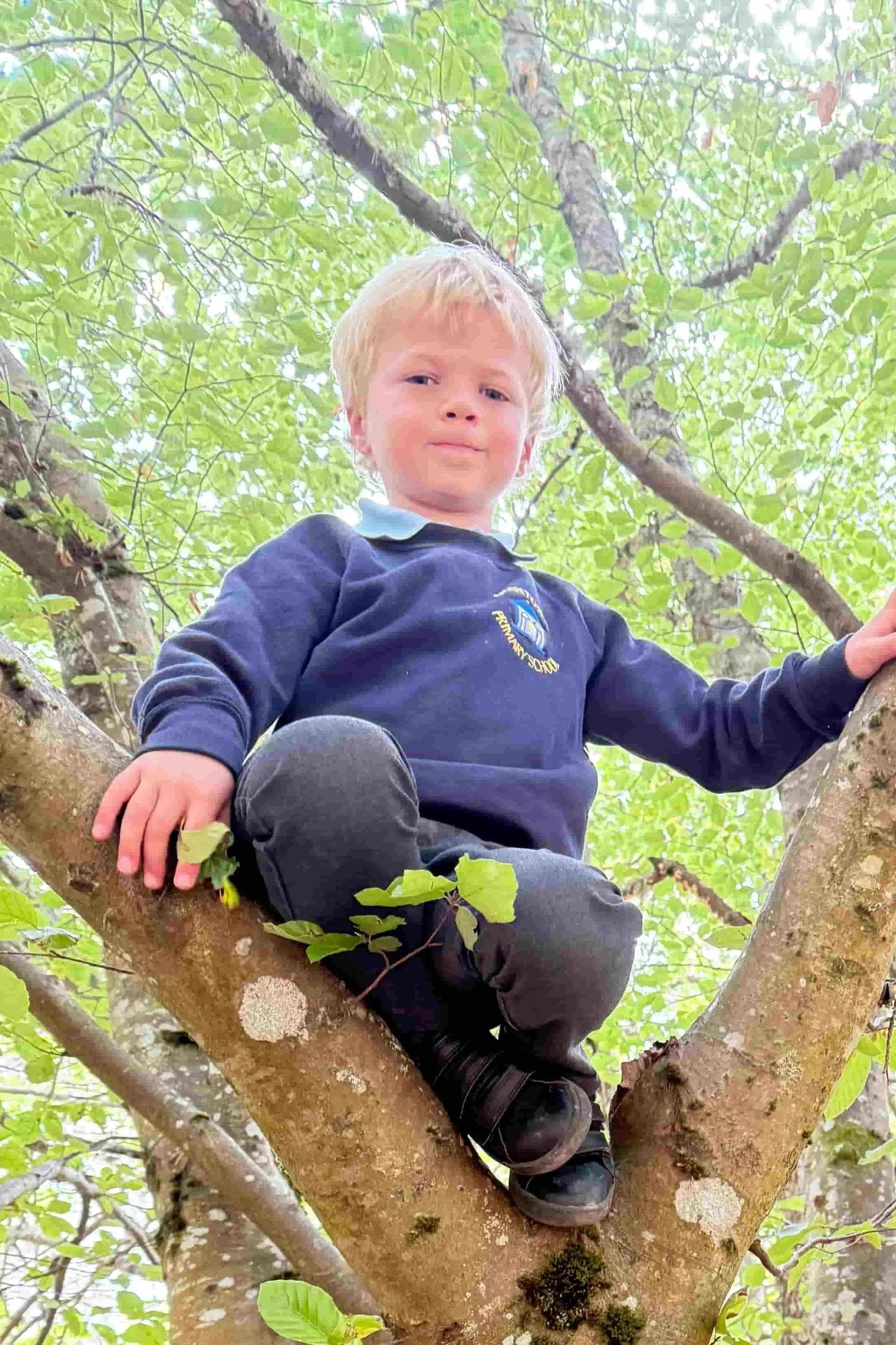 Child climbing a tree with green leaves and sunlight filtering through.