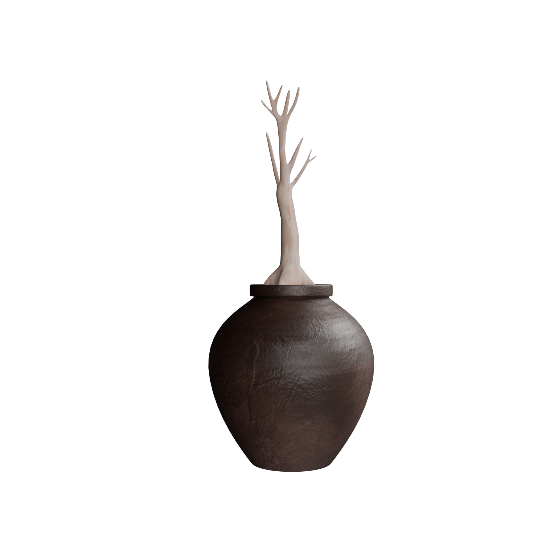 Plant_96_web.png