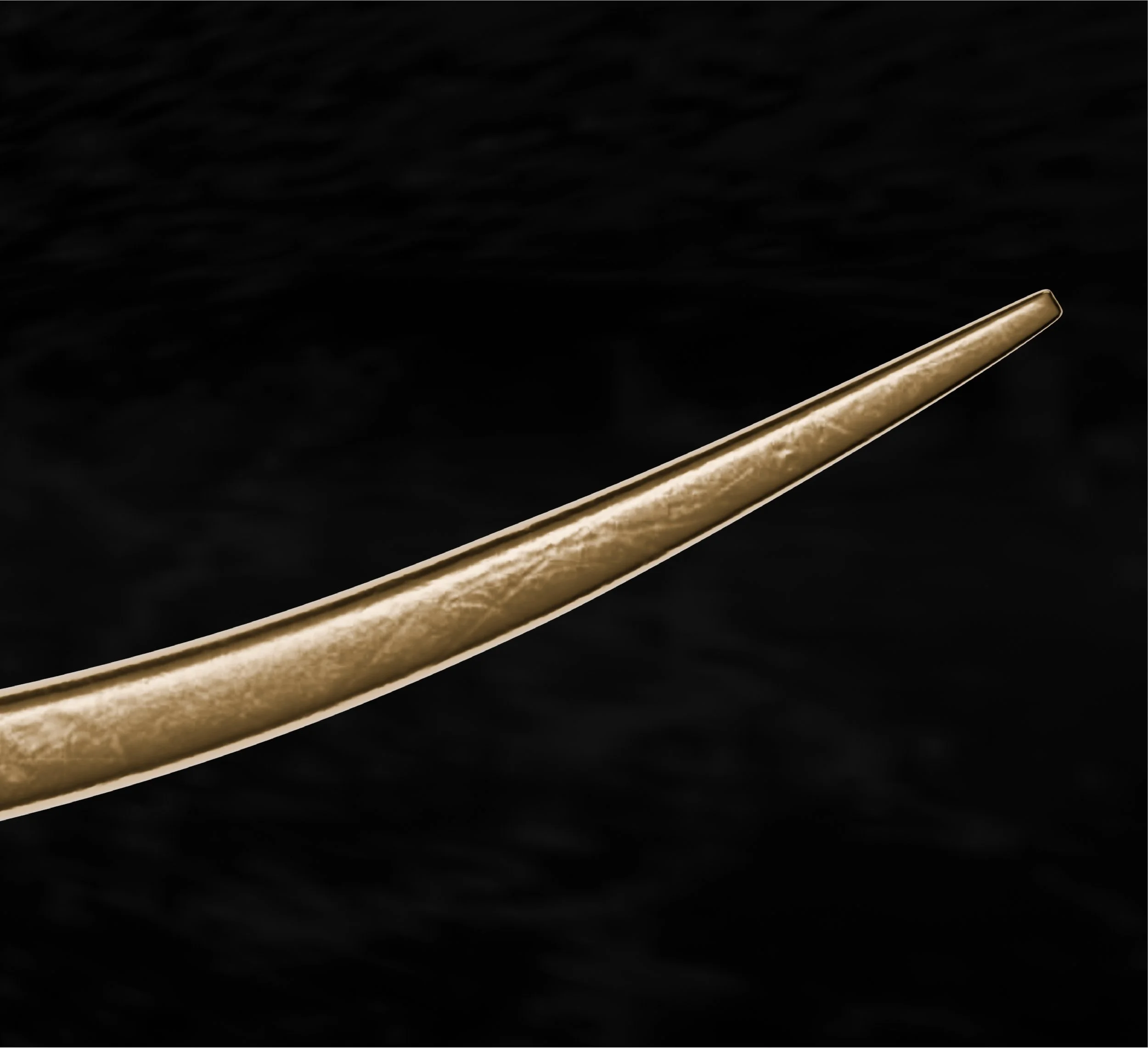 render-04.jpg