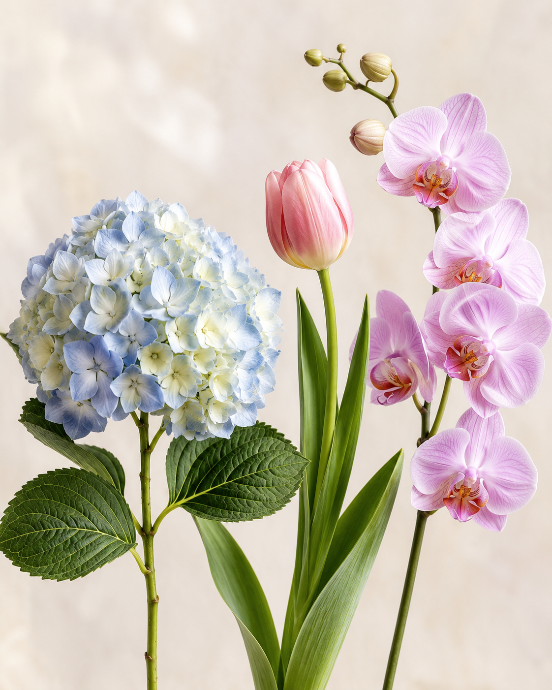 Premium Flower Upgrade