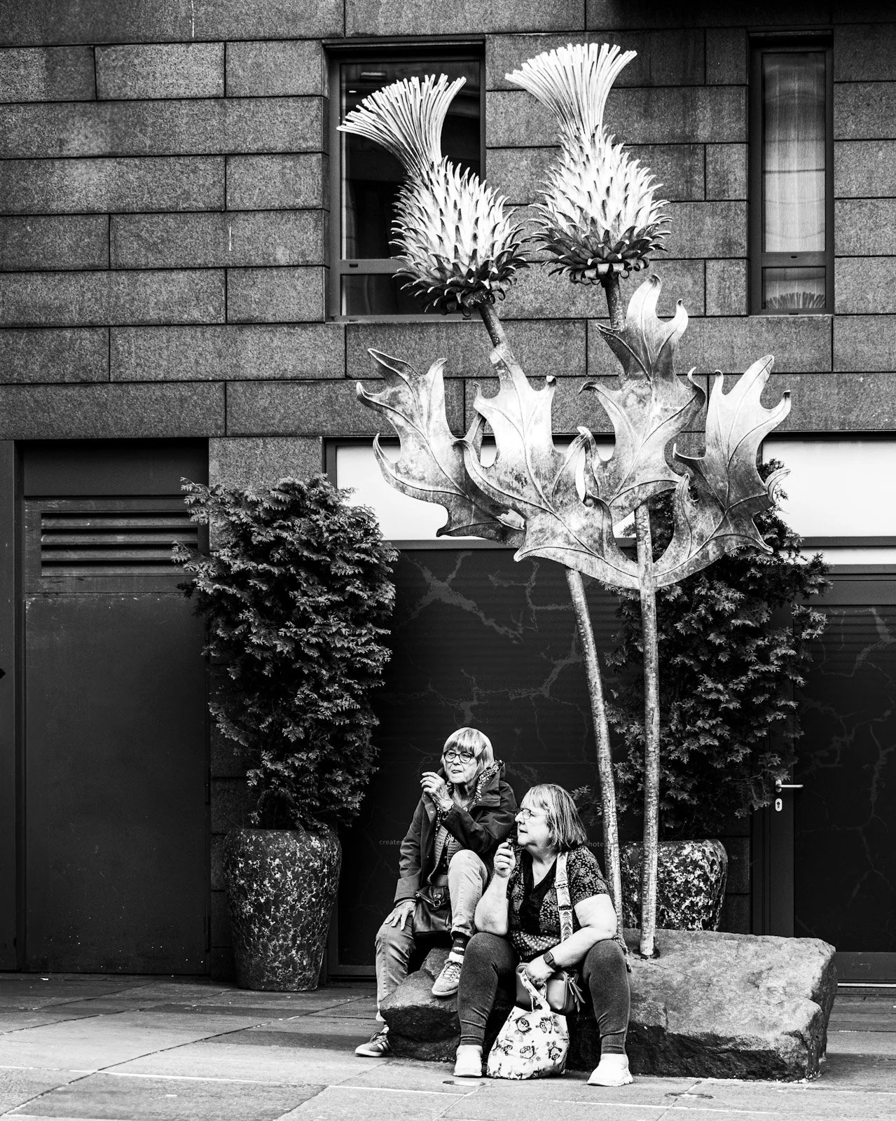 Flowers of Scotland in Edinburgh by Tim Tate.jpg