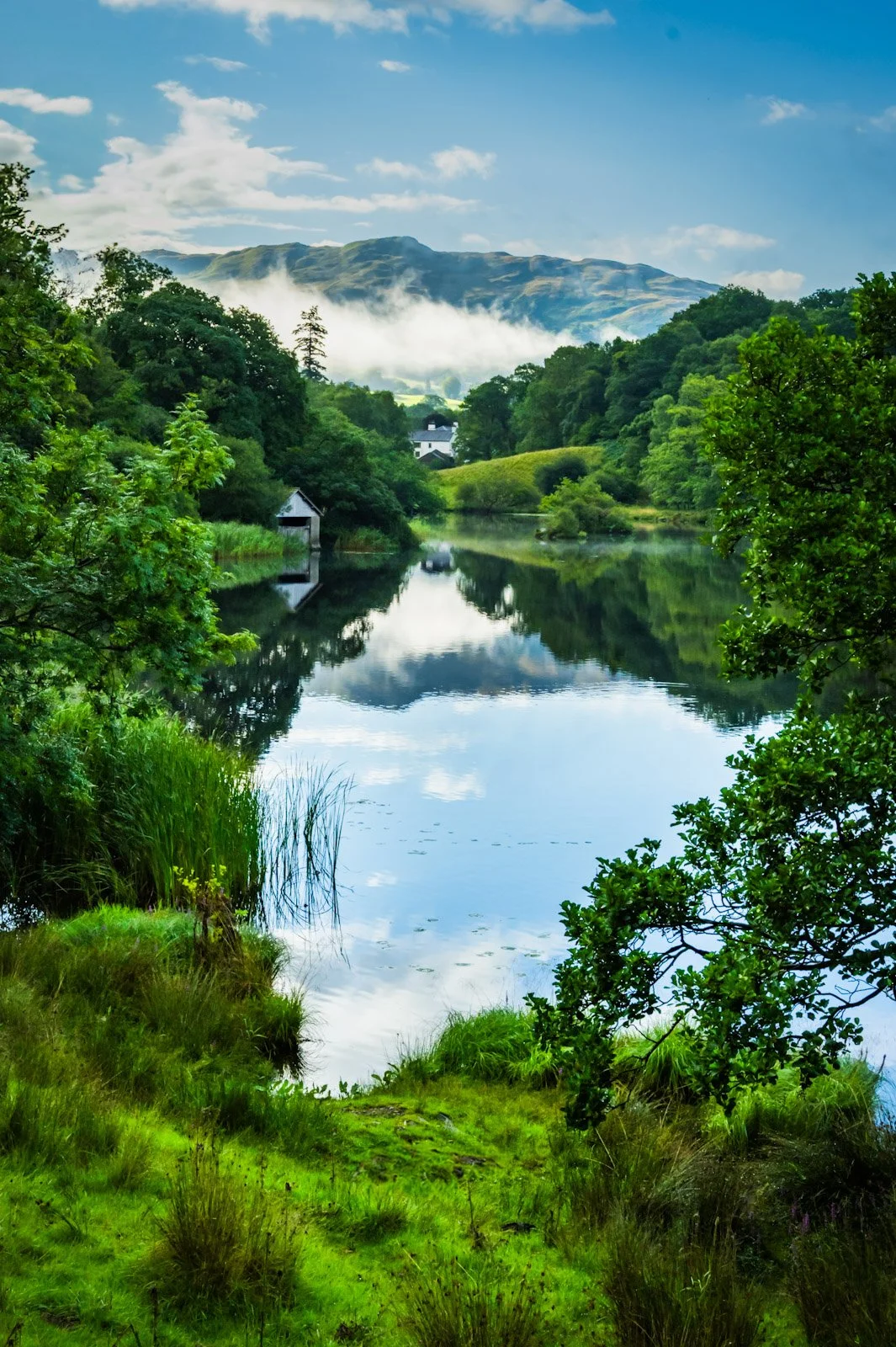 Rydal Water Reflections portrait by Tim Tate.jpg