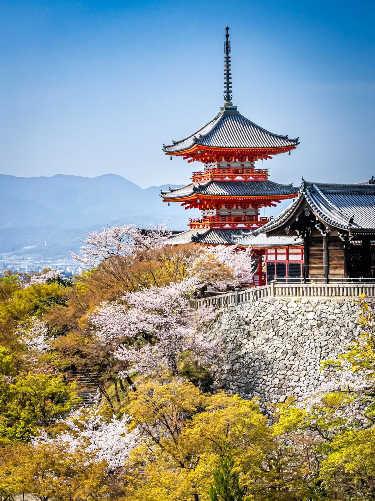 Kyoto by Tim Tate.jpg