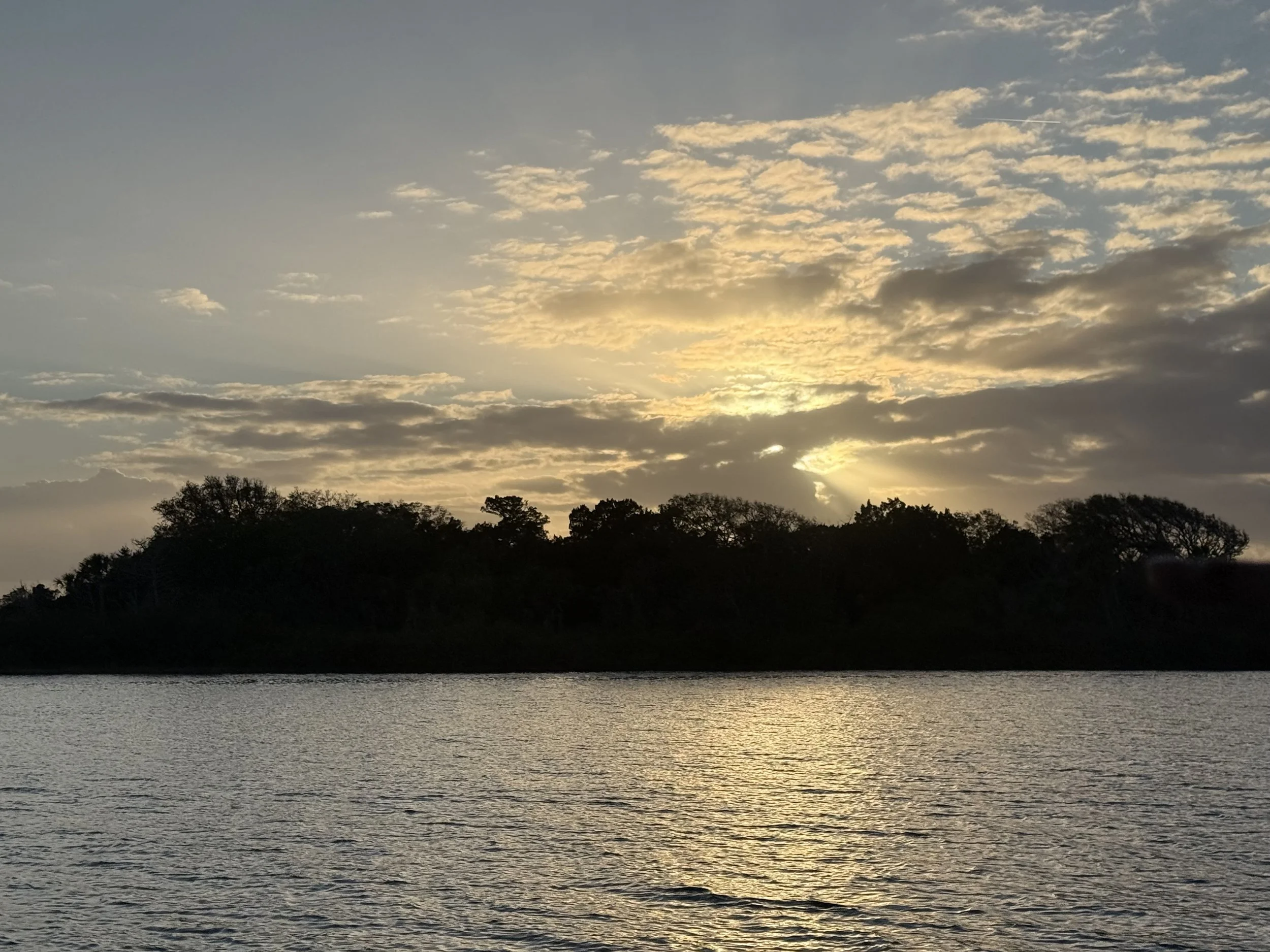 IMG_0088.jpeg