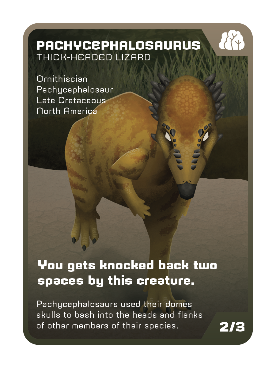 491_Capstone_Cards_Singles-10.png