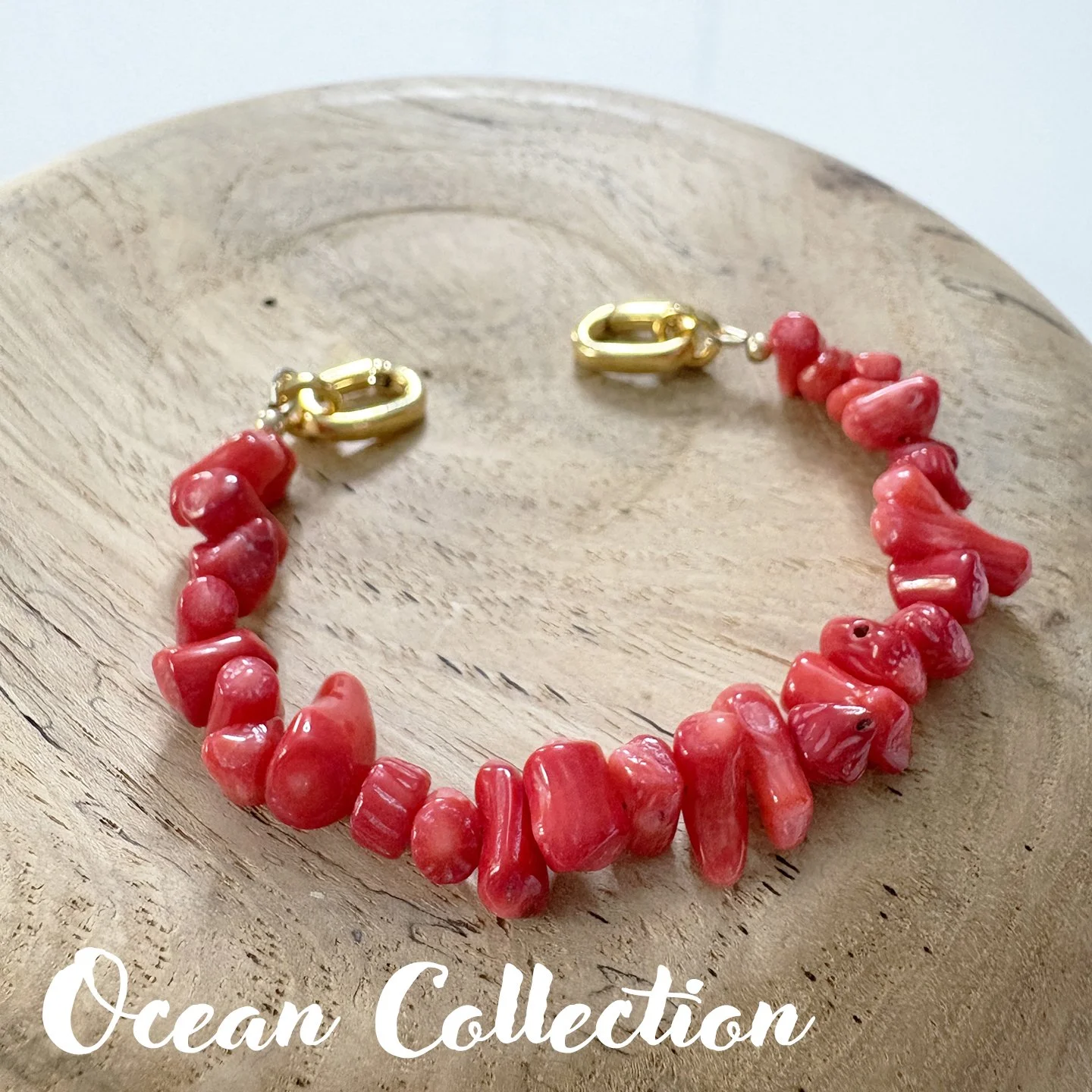 OCEAN 100 Coral blood 8in txt.jpg