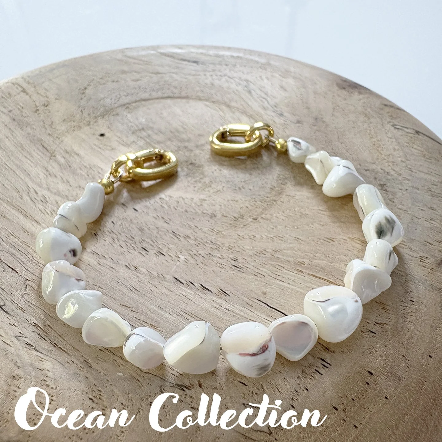 OCEAN 95 Shell white trochus 8in txt.jpg