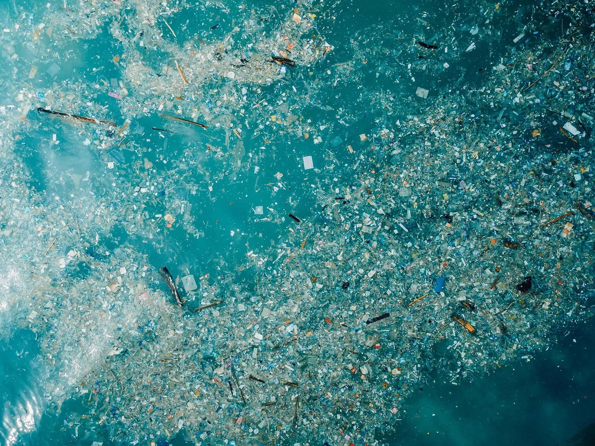 New Study Finds High Concentrations of Nanoplastics in Ocean Water 