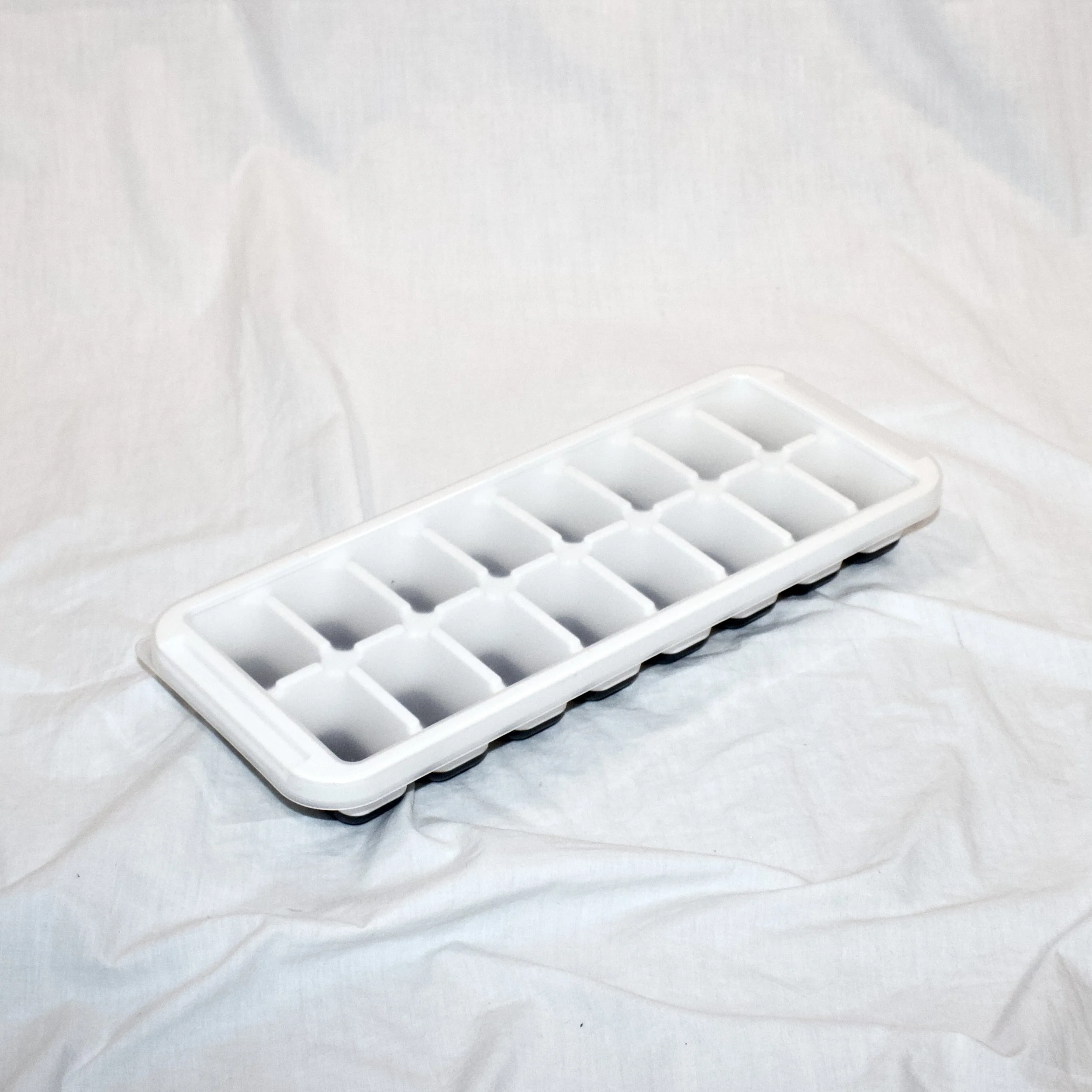 ice cube tray (1).jpeg