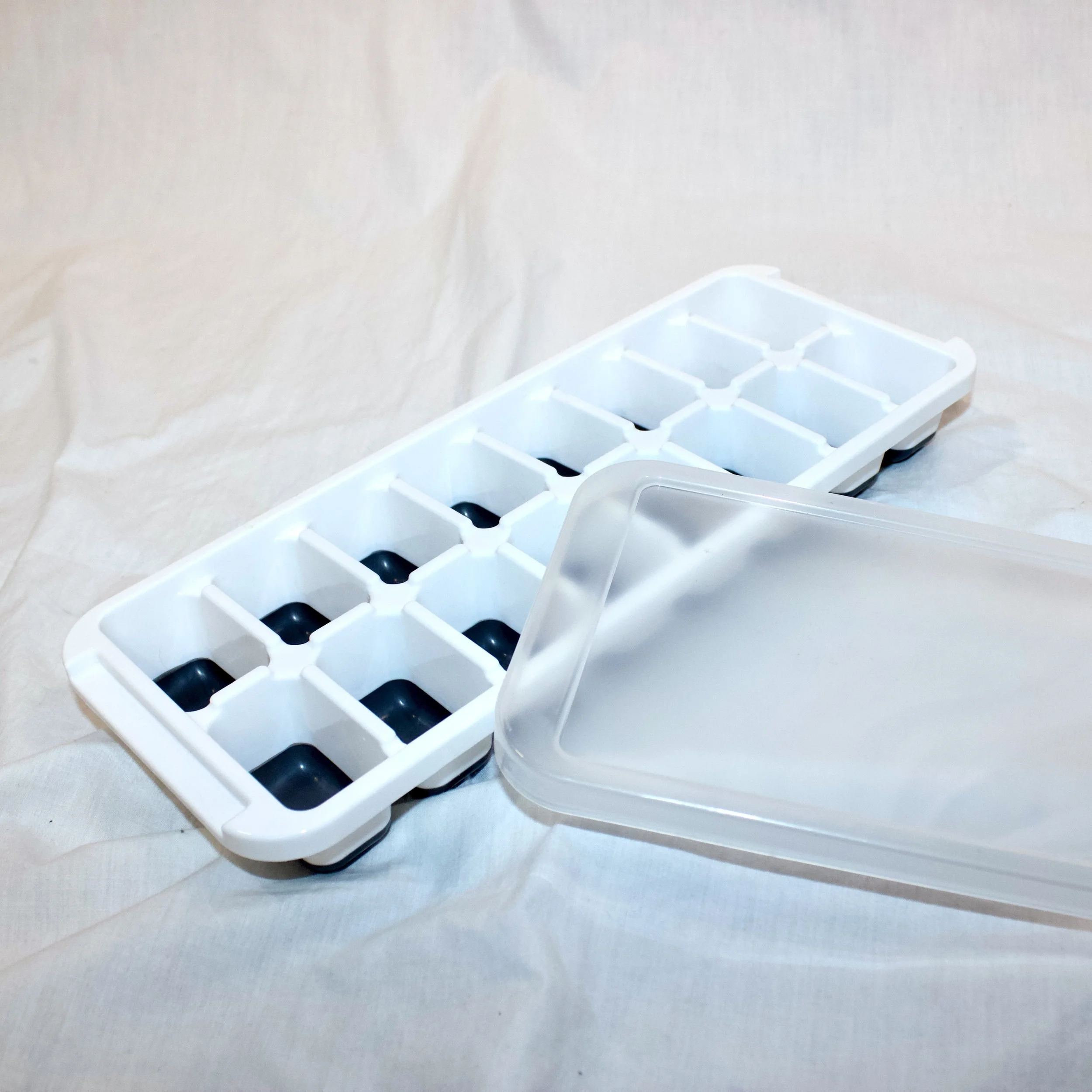 ice cube tray.jpeg