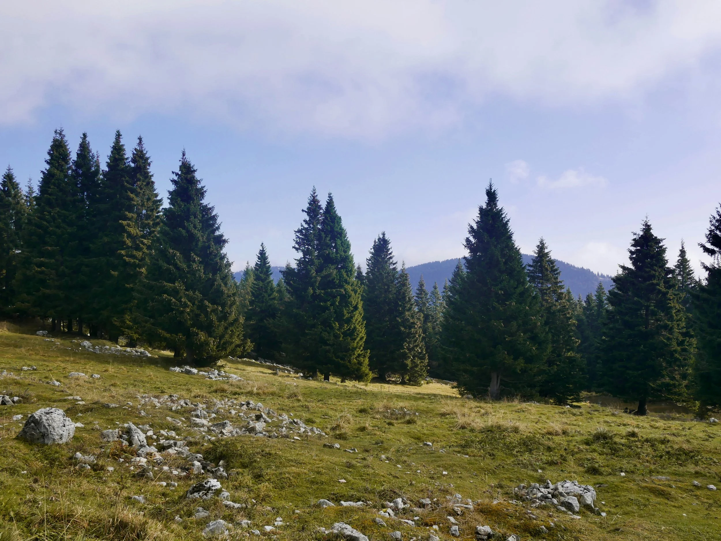 stefano-segato-zIWpdIgtIMA-unsplash.jpg