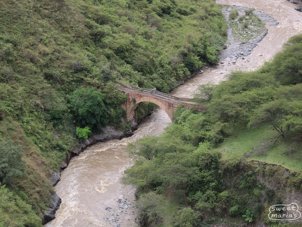 colombia-sweet-marias-narino-buesaco-3_2.jpg