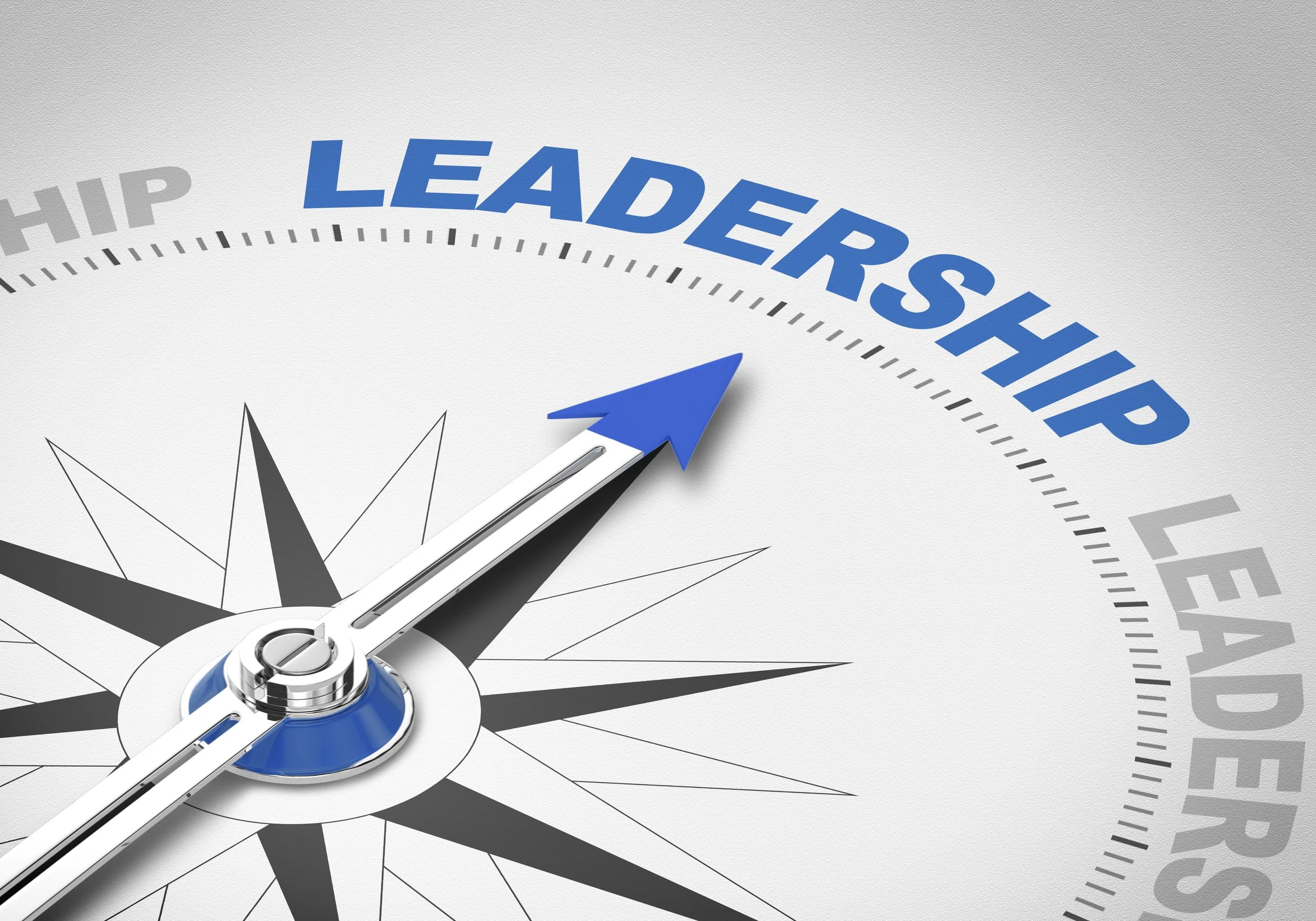 Leader Development Programs