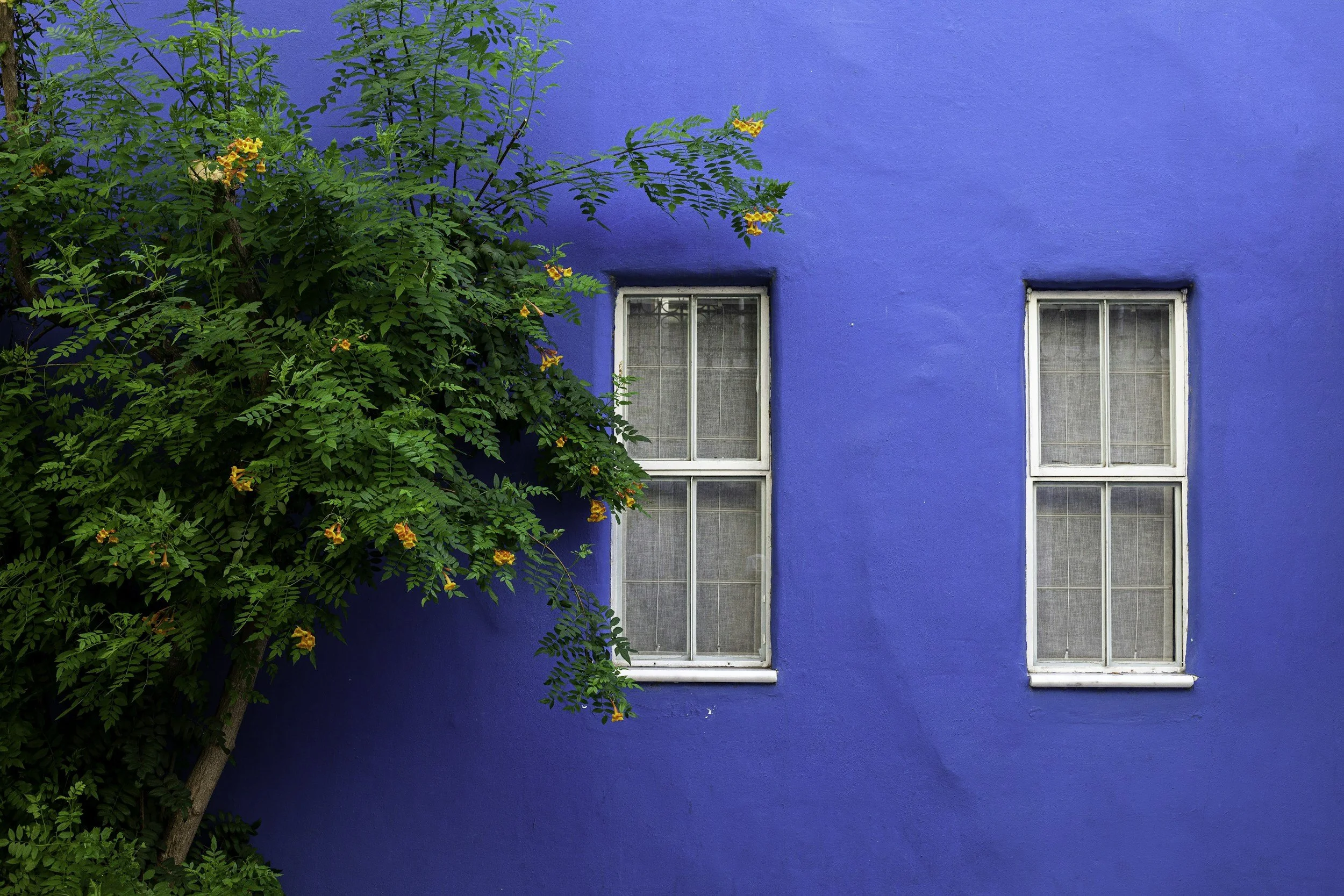 peinture-murale-fresque-exterieur-bleu