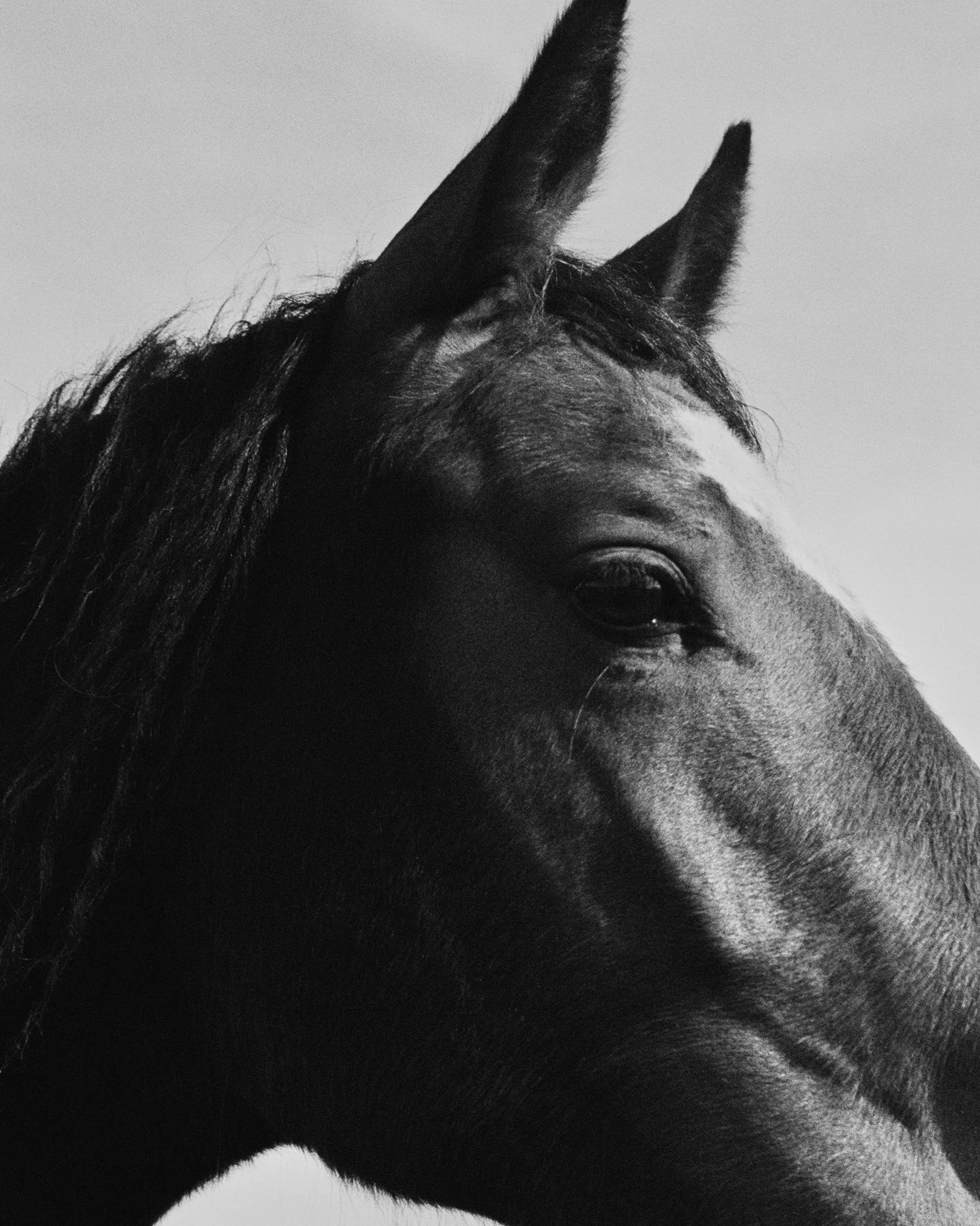 000122770012_10.jpg