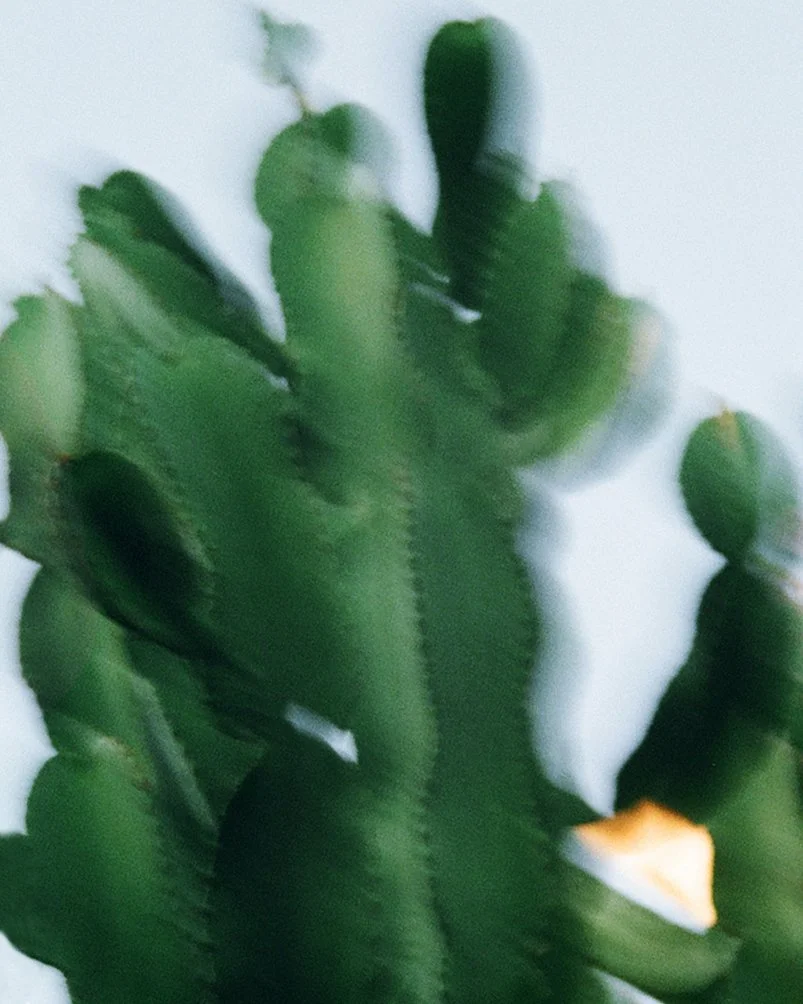 000093700024 5.jpg