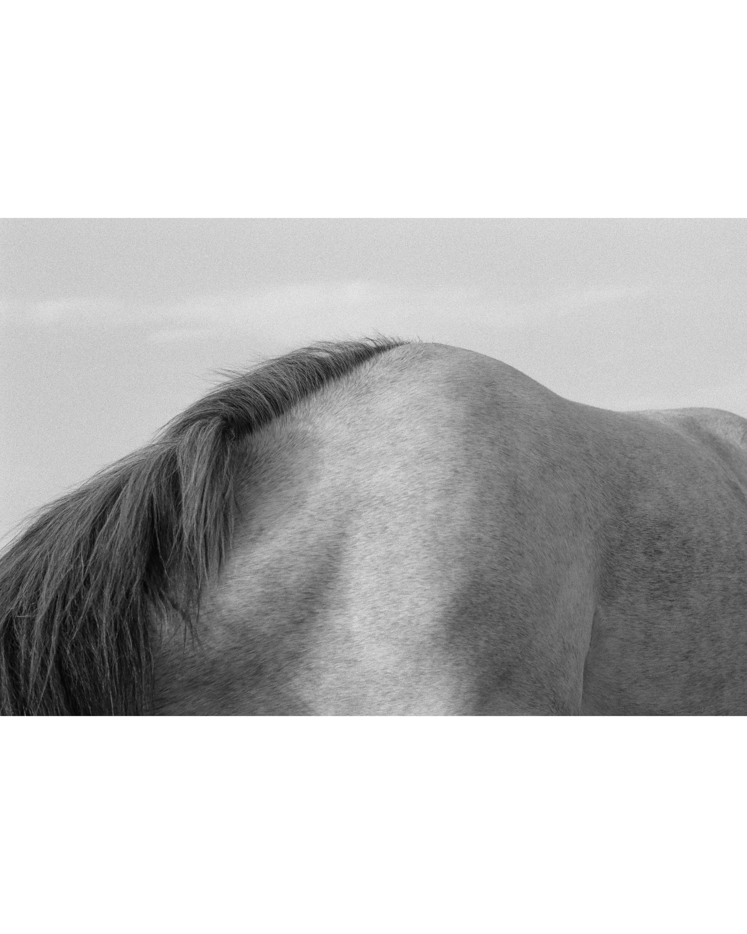 000041530034____ Edited.JPG